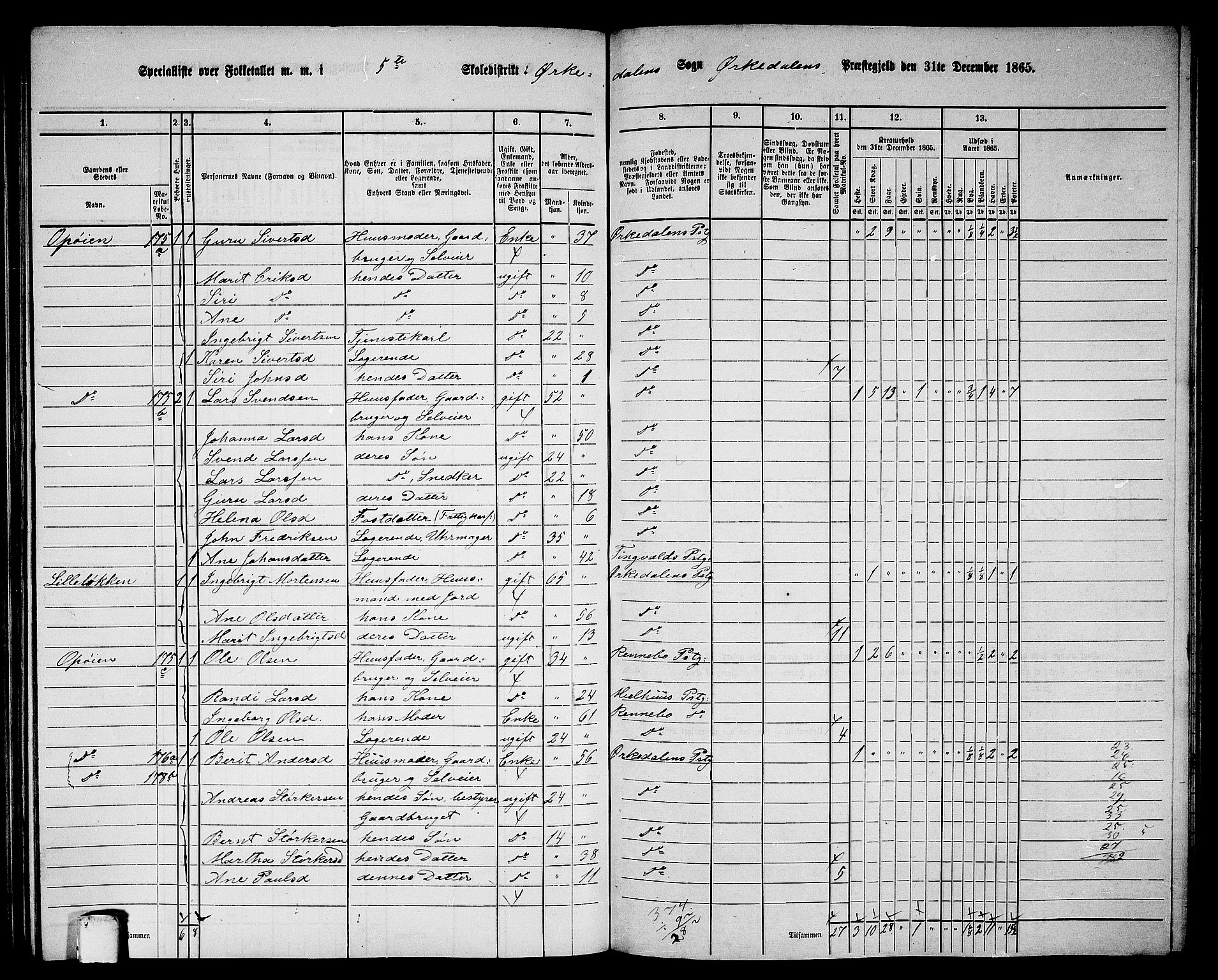 RA, 1865 census for Orkdal, 1865, p. 162