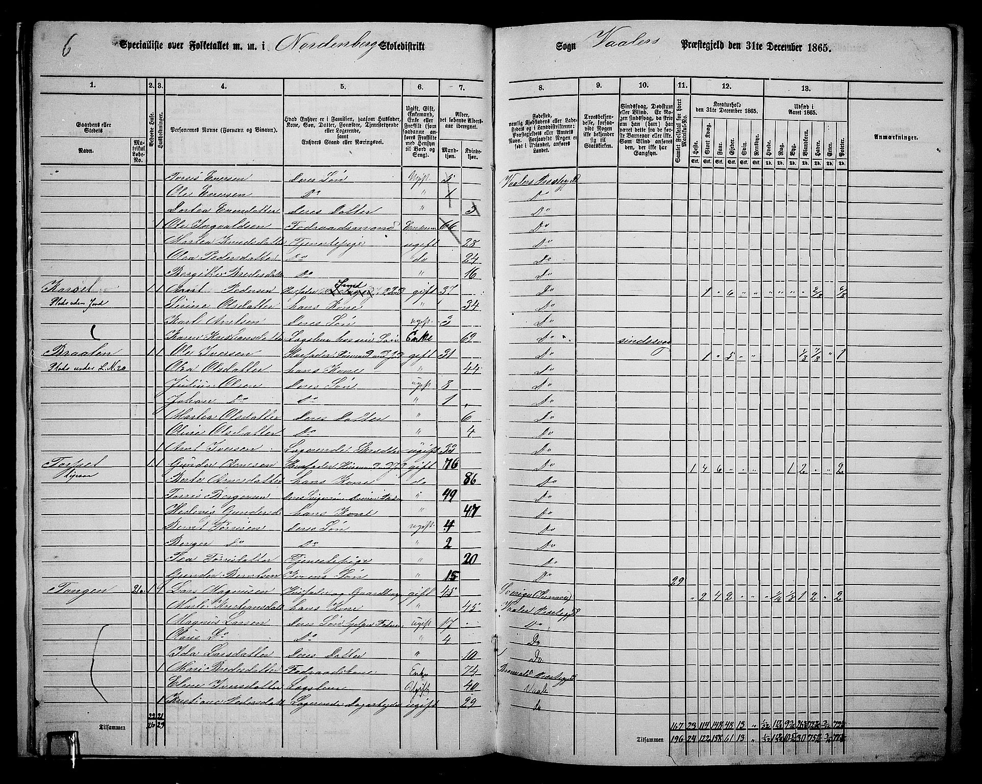 RA, 1865 census for Våler, 1865, p. 17