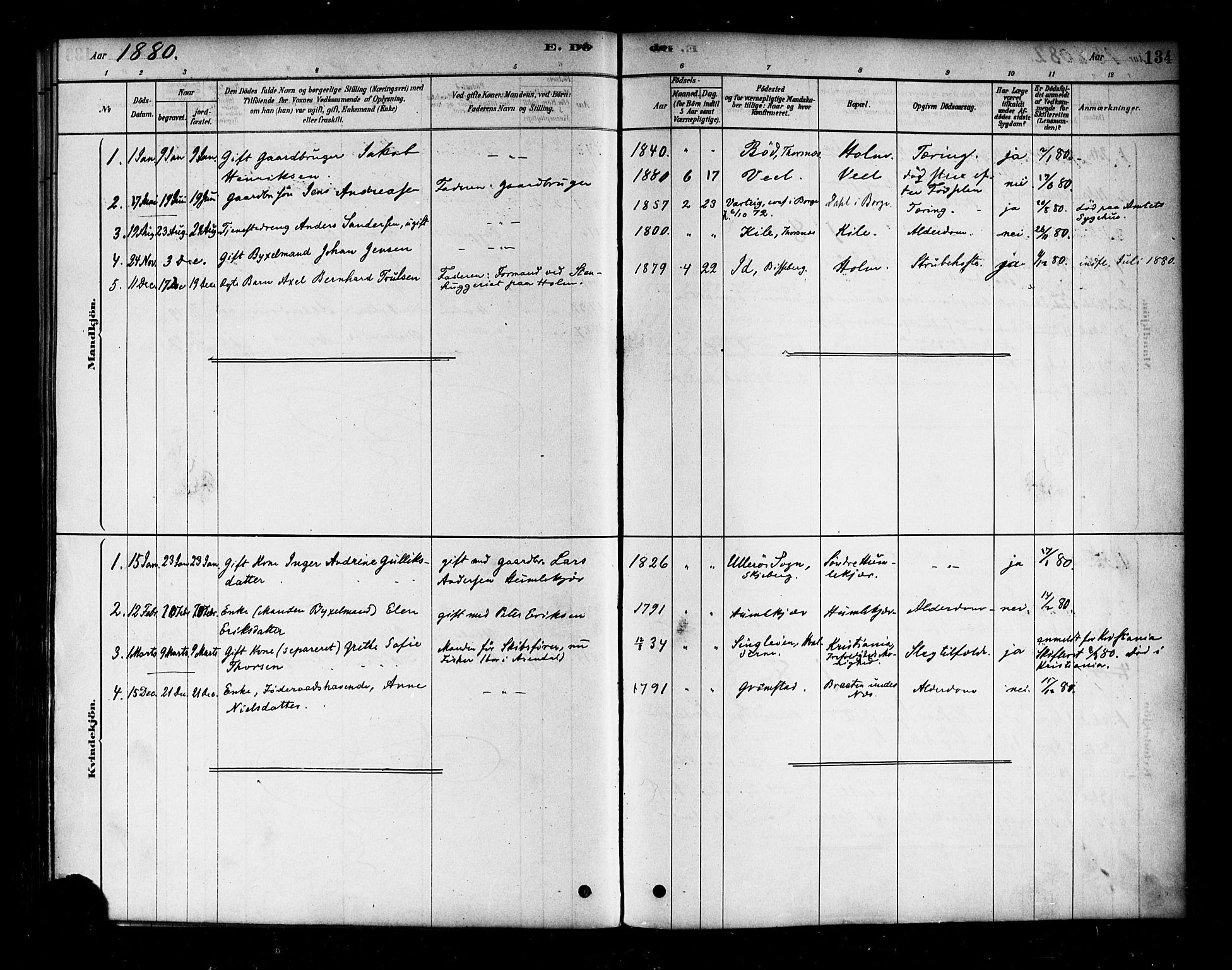 Borge prestekontor Kirkebøker, SAO/A-10903/F/Fb/L0003: Parish register (official) no. II 3, 1878-1902, p. 134