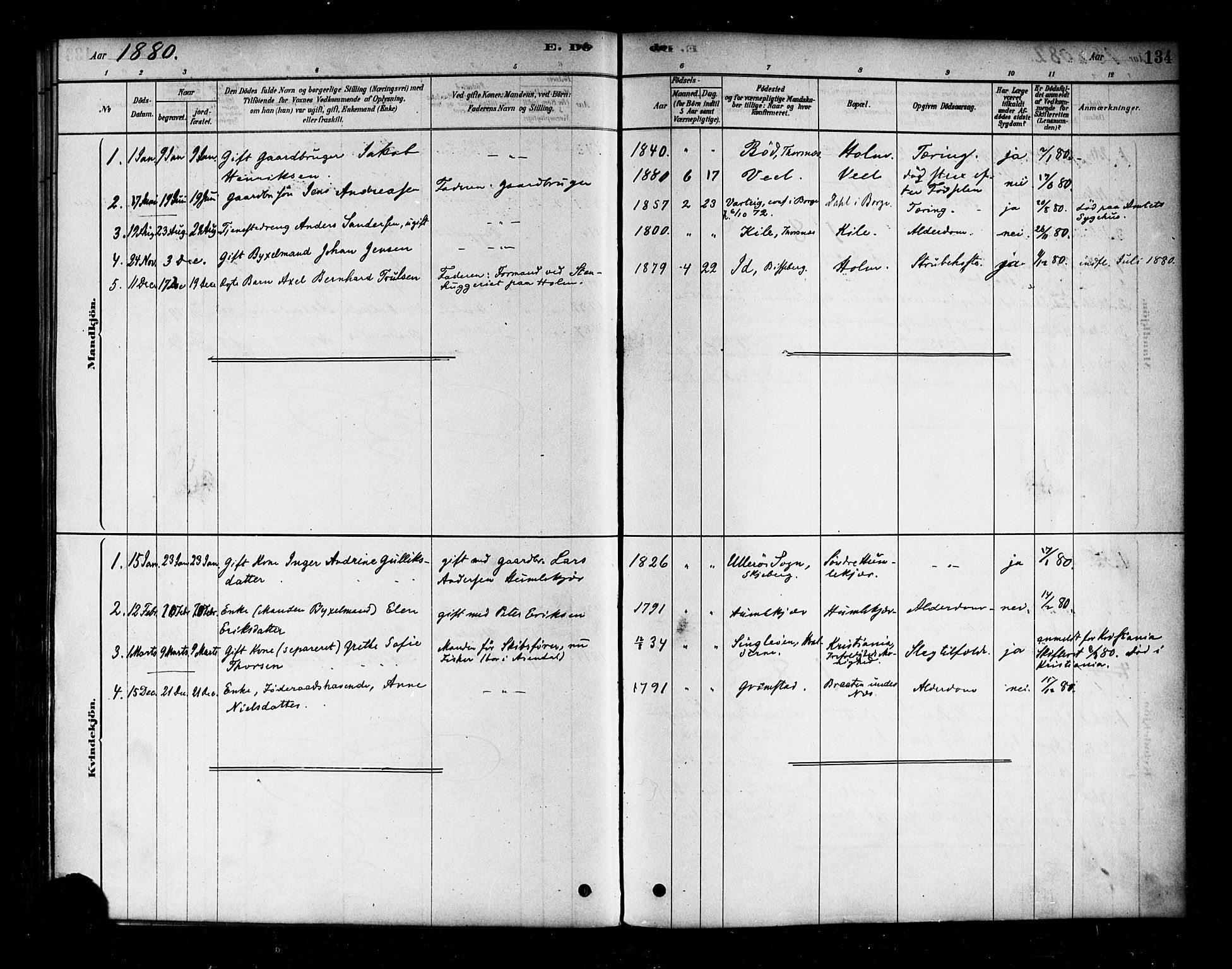 Borge prestekontor Kirkebøker, AV/SAO-A-10903/F/Fb/L0003: Parish register (official) no. II 3, 1878-1902, p. 134