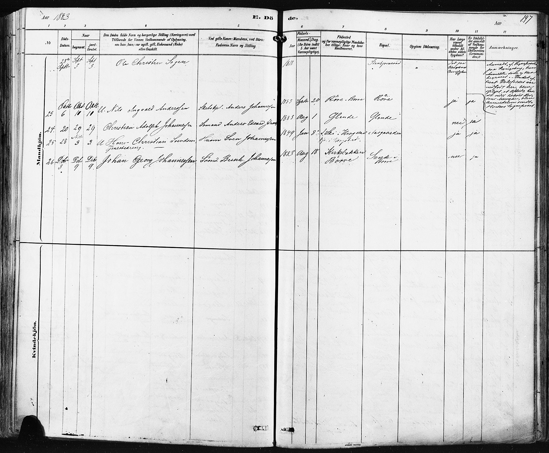 Borre kirkebøker, SAKO/A-338/F/Fa/L0009: Parish register (official) no. I 9, 1878-1896, p. 197