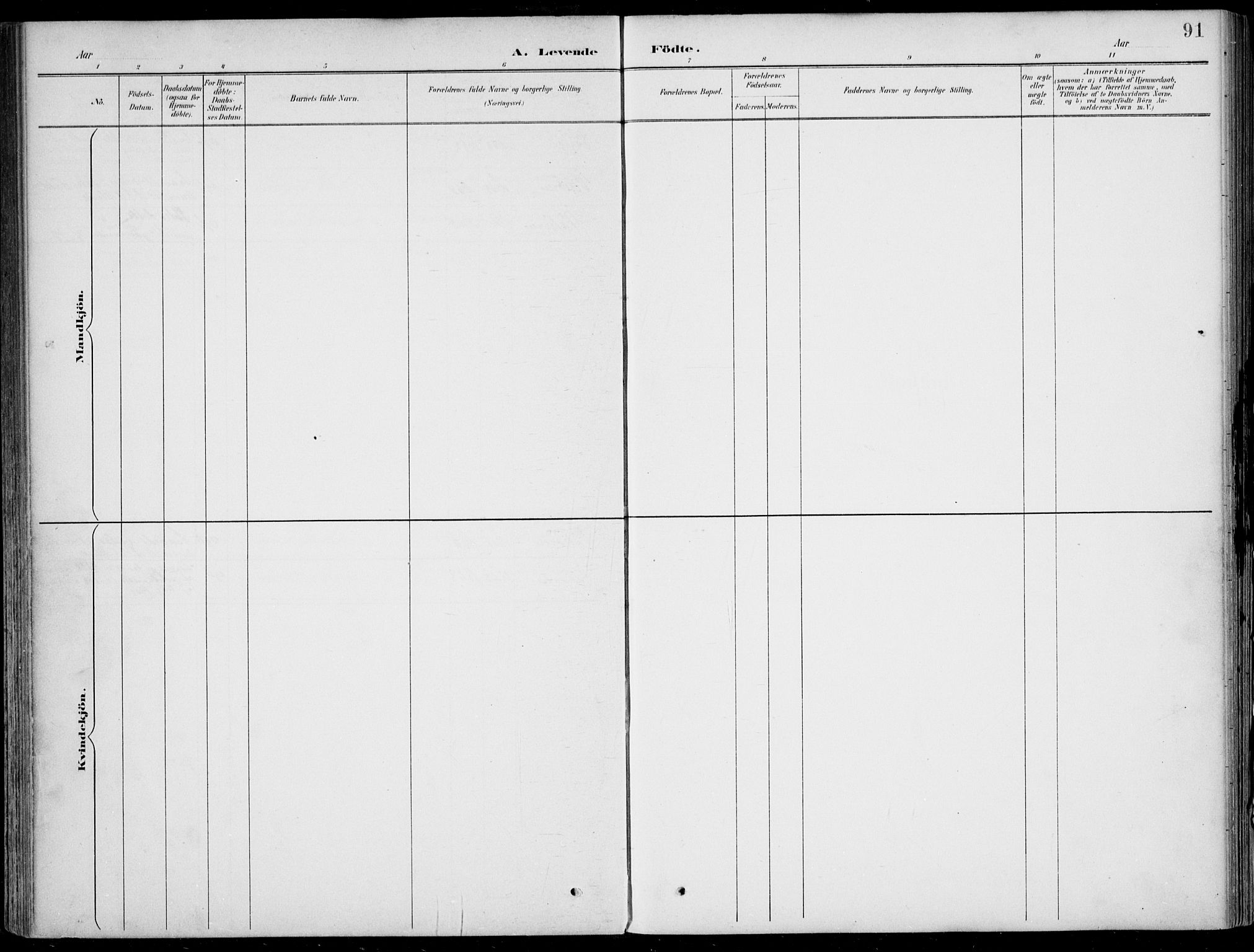 Vik sokneprestembete, AV/SAB-A-81501/H/Haa/Haab/L0002: Parish register (official) no. B  2, 1891-1907, p. 91