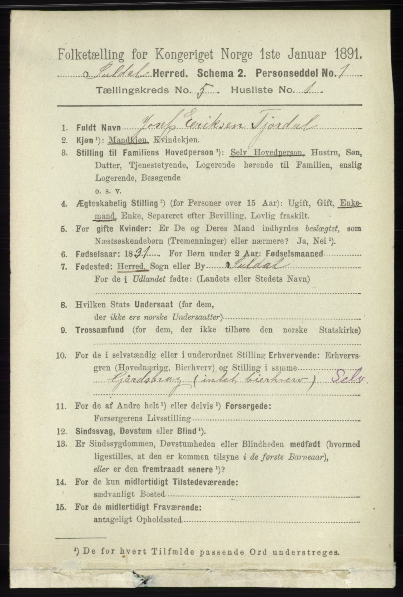 RA, 1891 census for 1134 Suldal, 1891, p. 1459