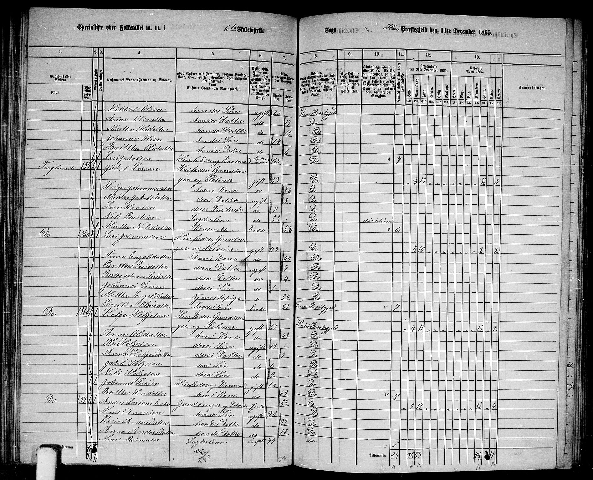 RA, 1865 census for Haus, 1865, p. 123