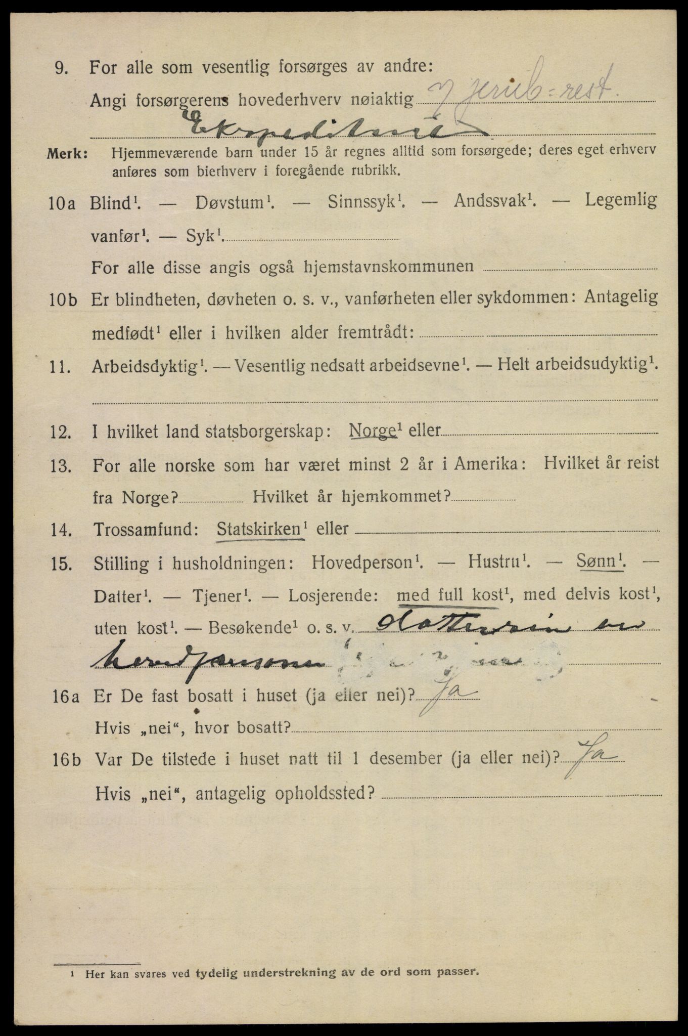 SAKO, 1920 census for Porsgrunn, 1920, p. 9440