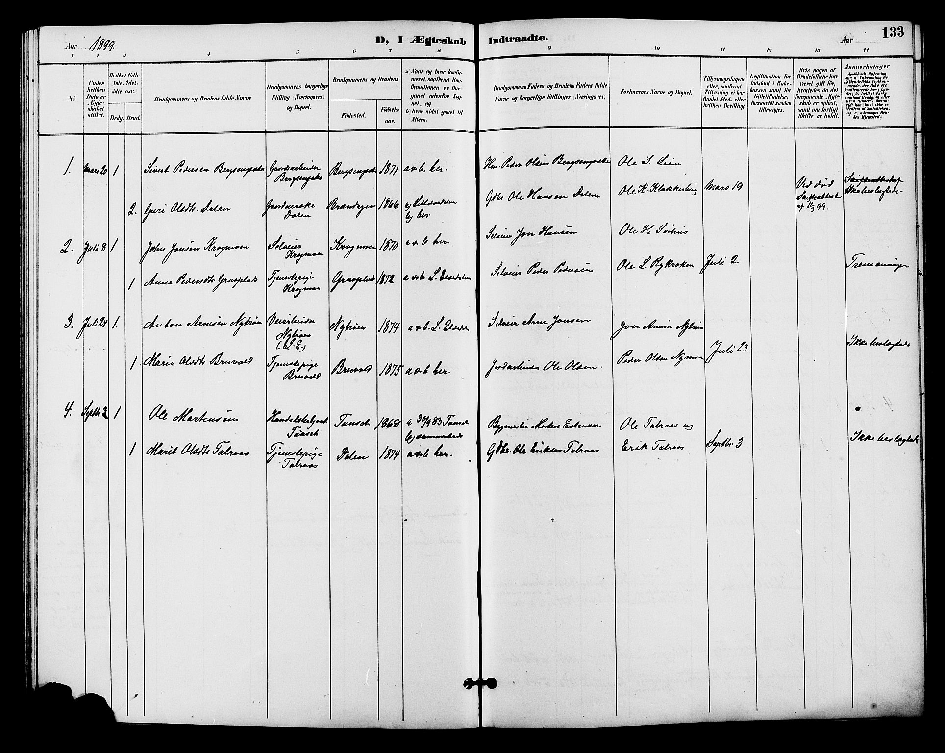 Alvdal prestekontor, SAH/PREST-060/H/Ha/Hab/L0004: Parish register (copy) no. 4, 1894-1910, p. 133