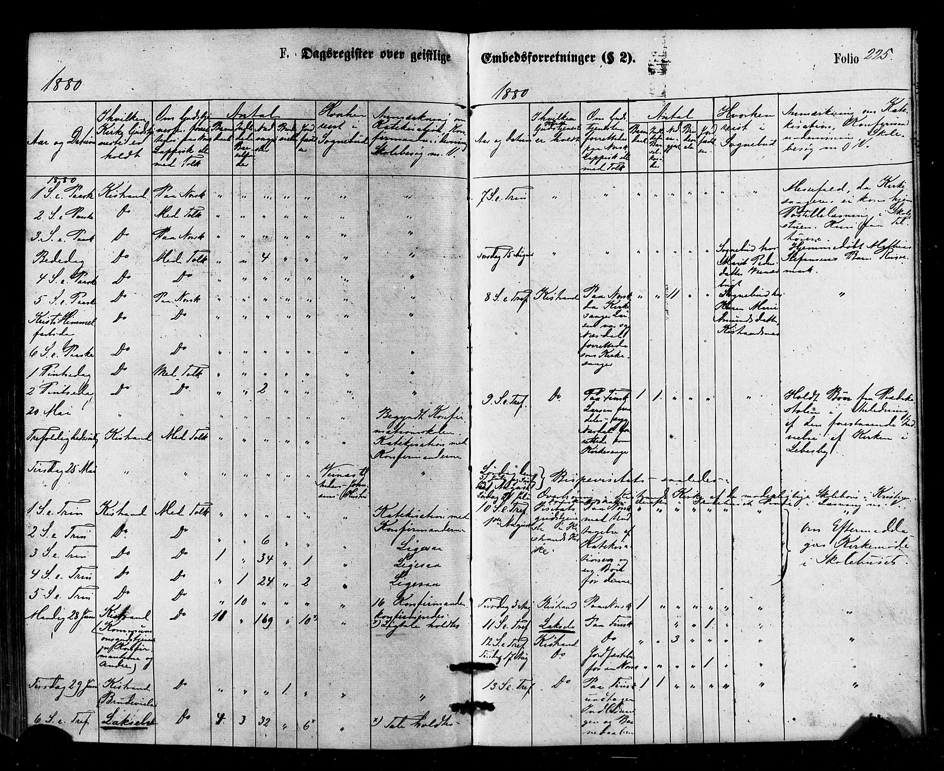 Kistrand/Porsanger sokneprestembete, AV/SATØ-S-1351/H/Ha/L0006.kirke: Parish register (official) no. 6, 1875-1880, p. 225