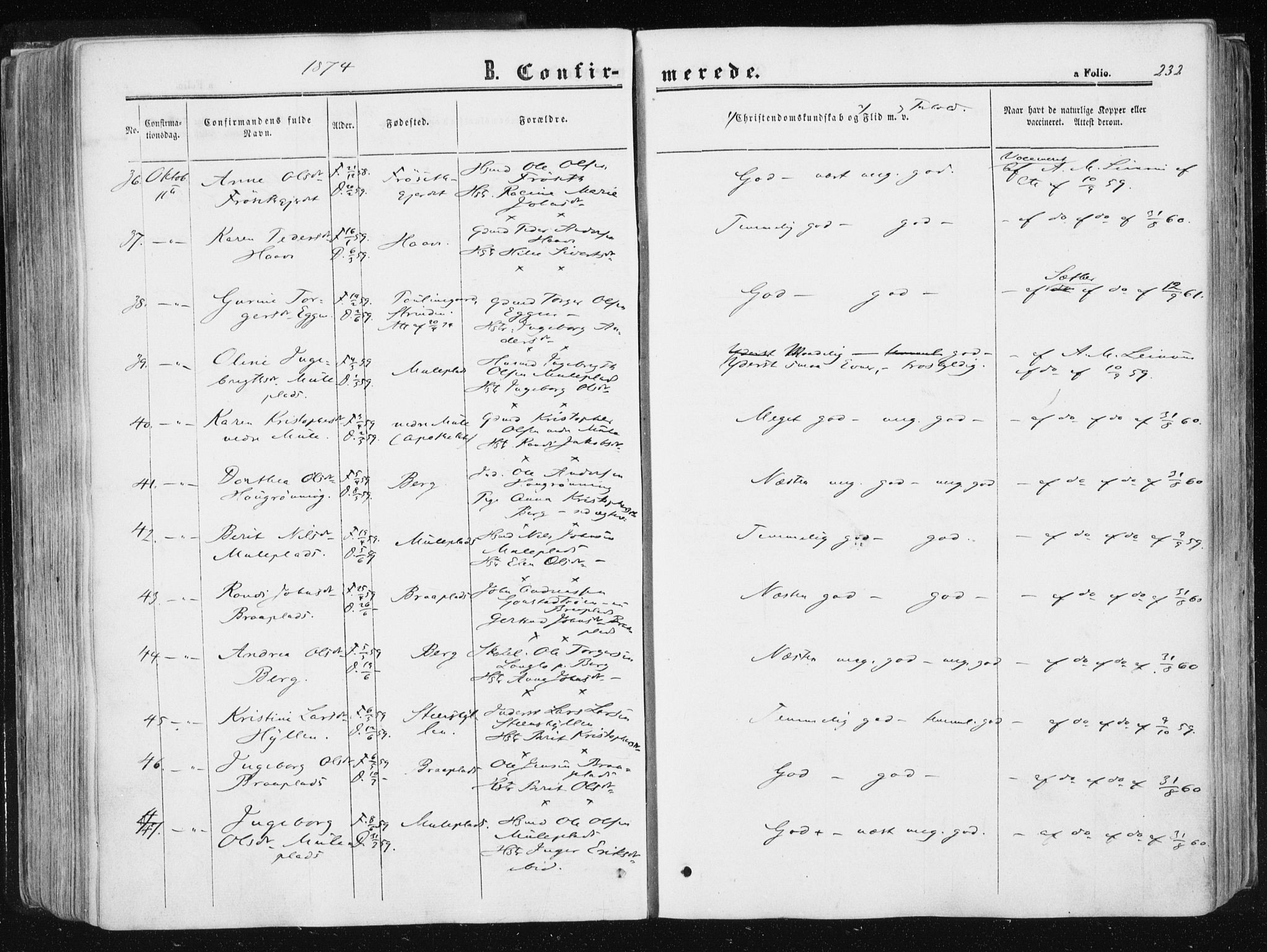 Ministerialprotokoller, klokkerbøker og fødselsregistre - Sør-Trøndelag, SAT/A-1456/612/L0377: Parish register (official) no. 612A09, 1859-1877, p. 232