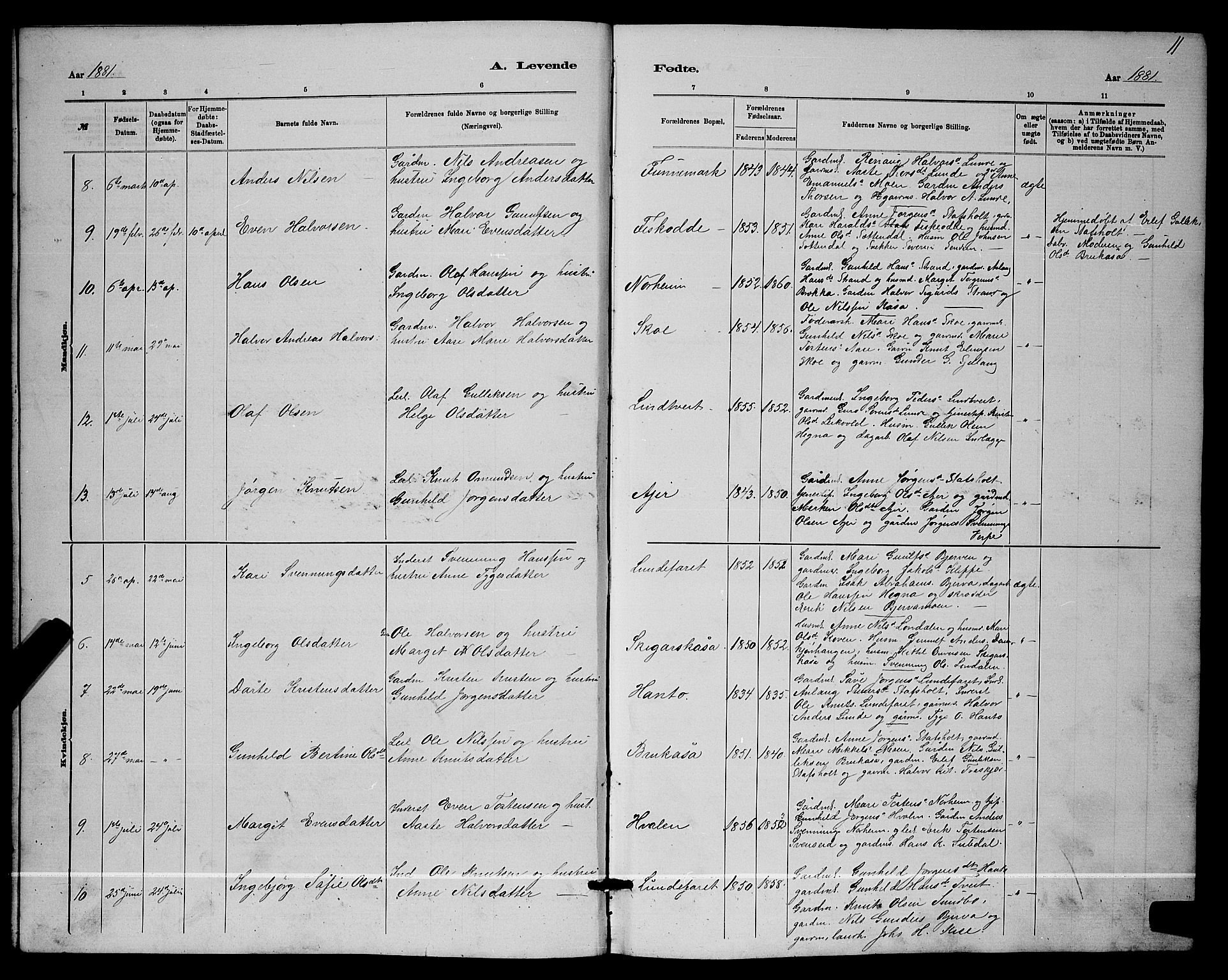 Lunde kirkebøker, AV/SAKO-A-282/G/Ga/L0001b: Parish register (copy) no. I 1, 1879-1887, p. 11