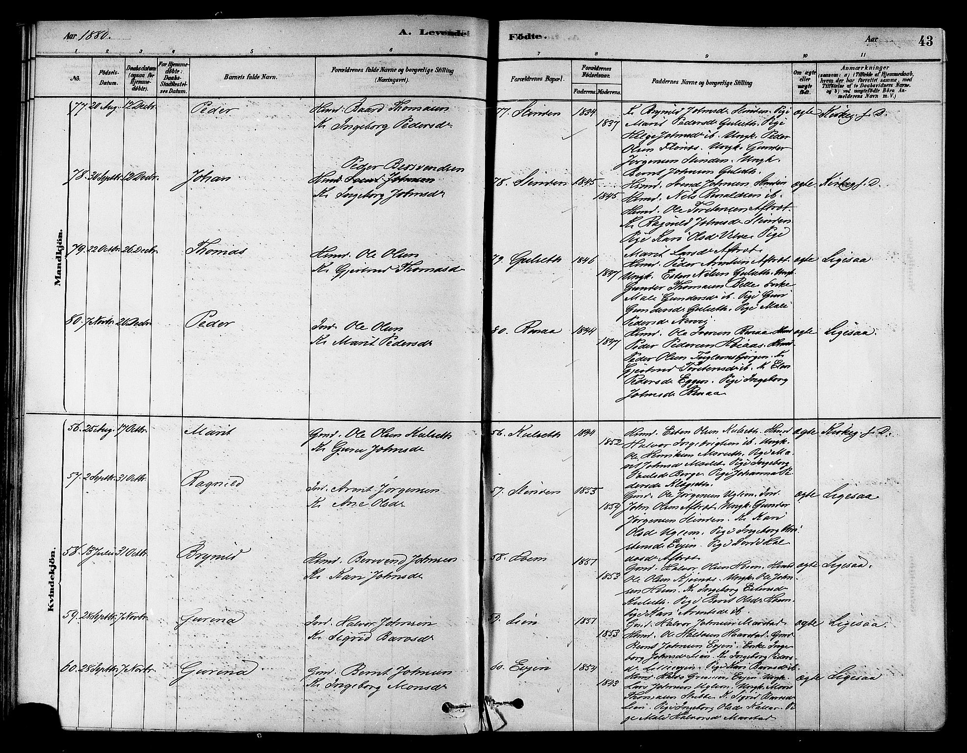 Ministerialprotokoller, klokkerbøker og fødselsregistre - Sør-Trøndelag, AV/SAT-A-1456/695/L1148: Parish register (official) no. 695A08, 1878-1891, p. 43