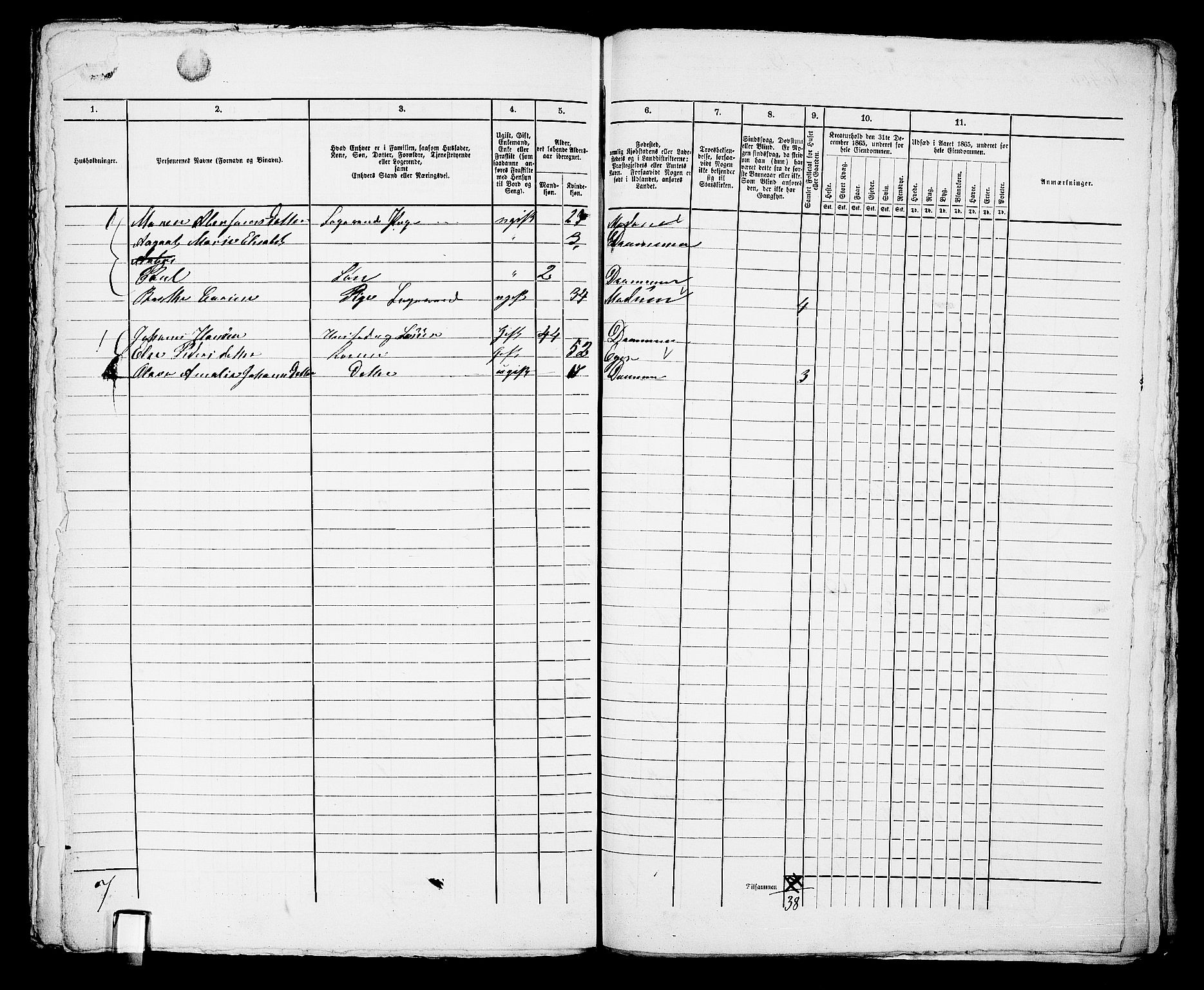 RA, 1865 census for Bragernes in Drammen, 1865, p. 1209