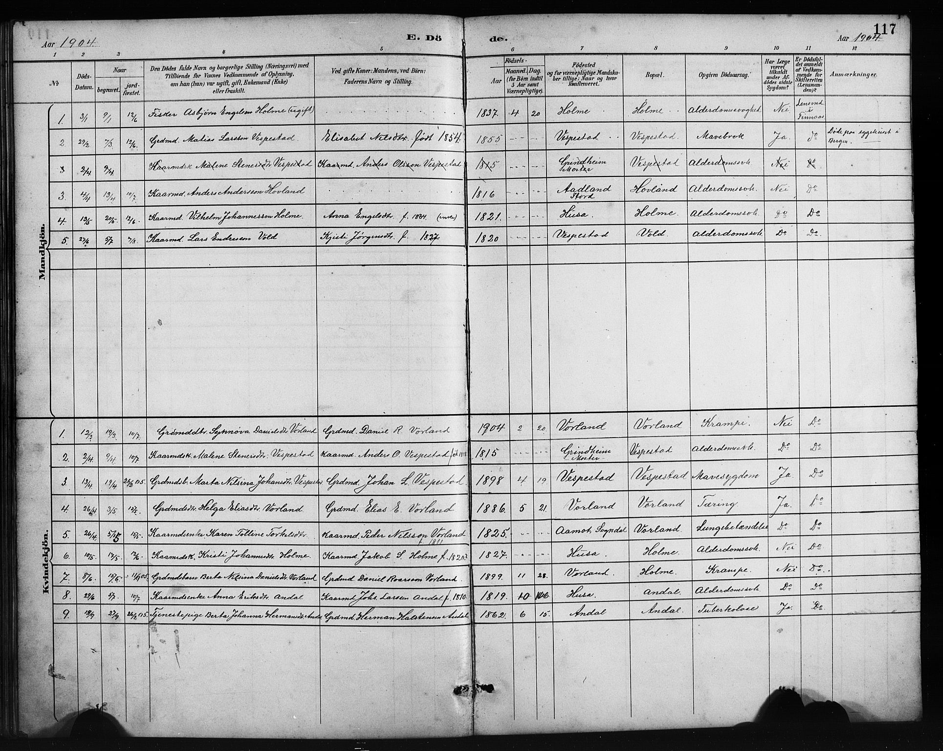 Finnås sokneprestembete, SAB/A-99925/H/Ha/Hab/Habc/L0002: Parish register (copy) no. C 2, 1887-1906, p. 117