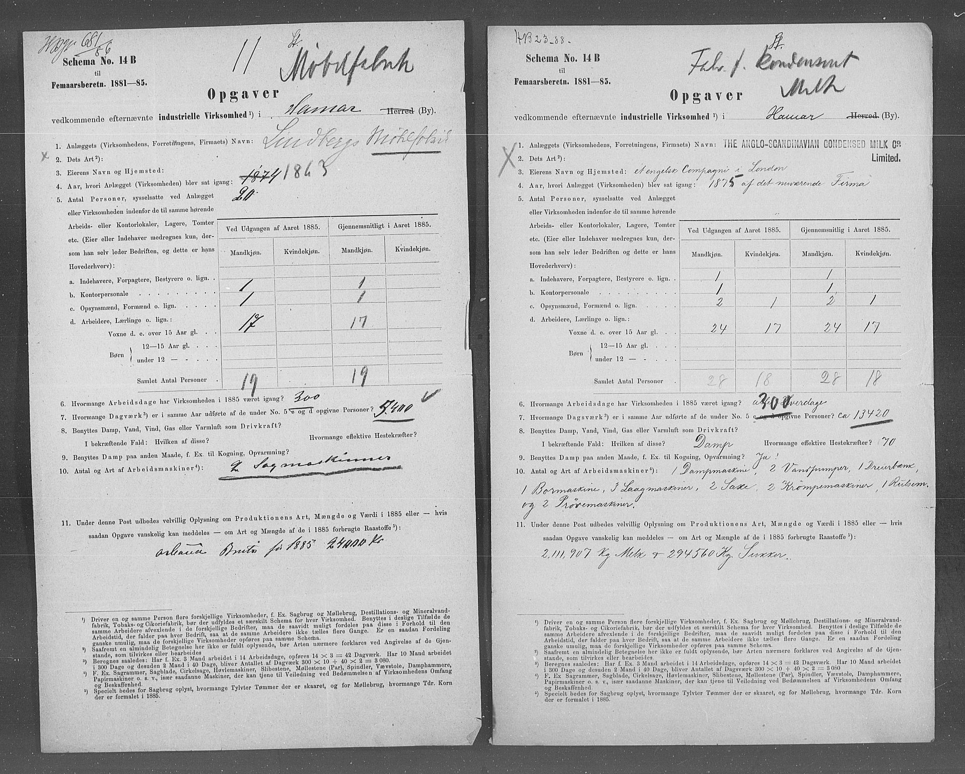 Statistisk sentralbyrå, Næringsøkonomiske emner, Generelt - Amtmennenes femårsberetninger, AV/RA-S-2233/F/Fa/L0067: --, 1885, p. 7