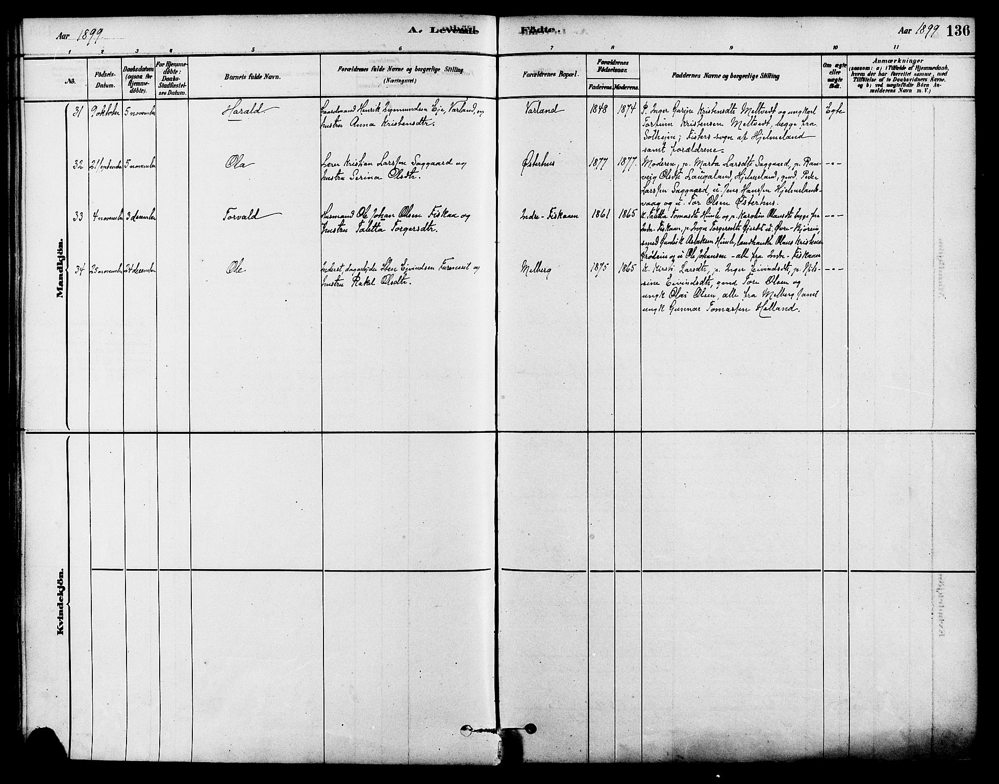 Strand sokneprestkontor, SAST/A-101828/H/Ha/Haa/L0009: Parish register (official) no. A 9, 1877-1908, p. 136