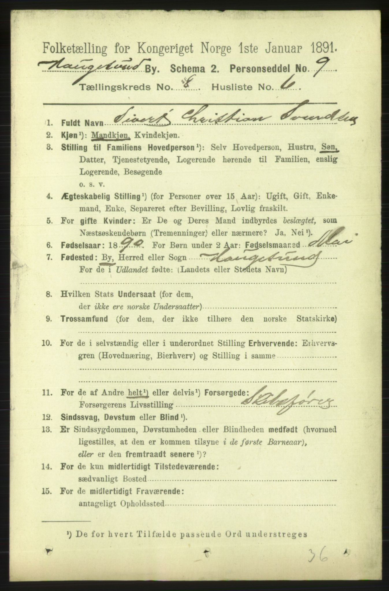 RA, 1891 census for 1106 Haugesund, 1891, p. 3702