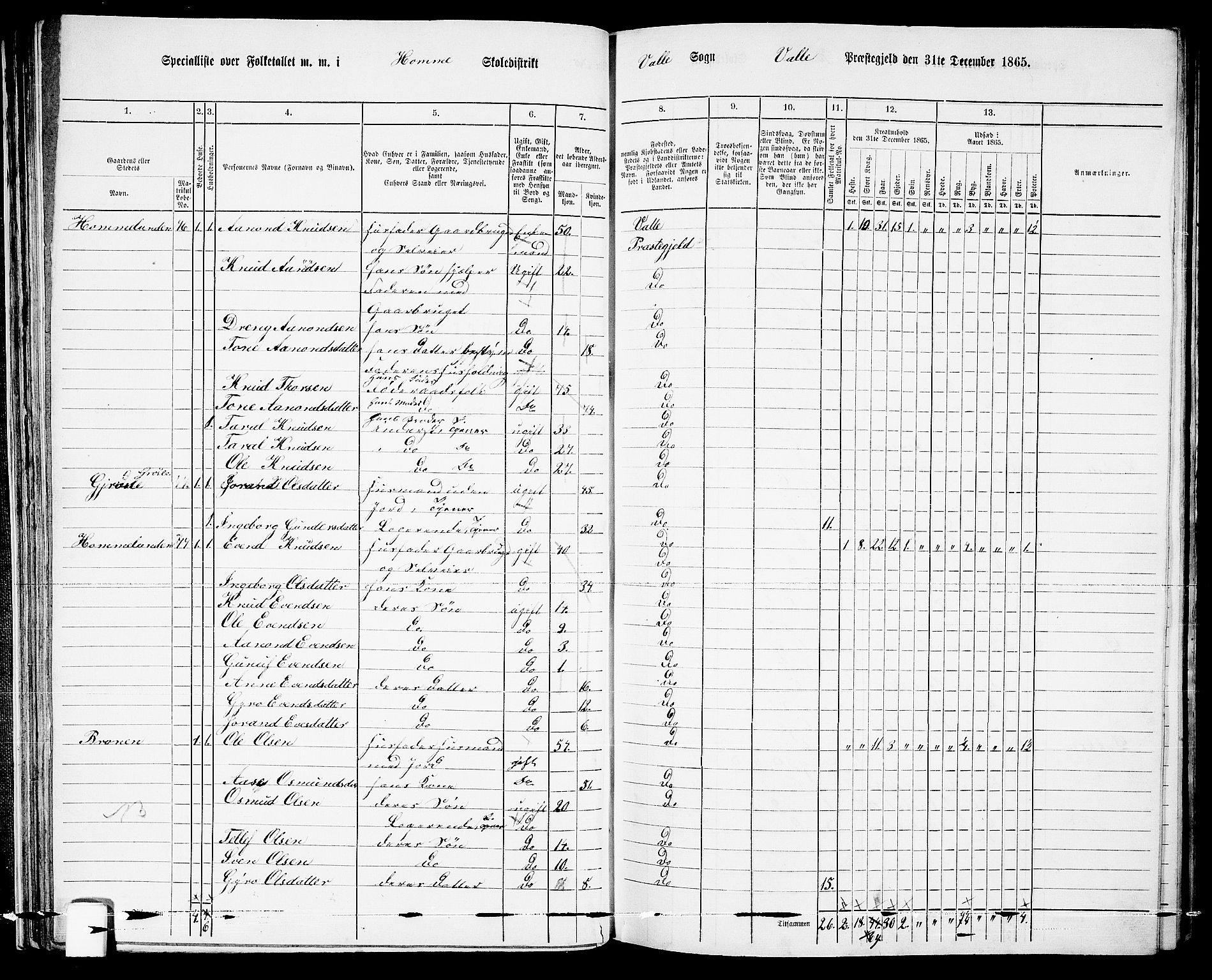 RA, 1865 census for Valle, 1865, p. 48