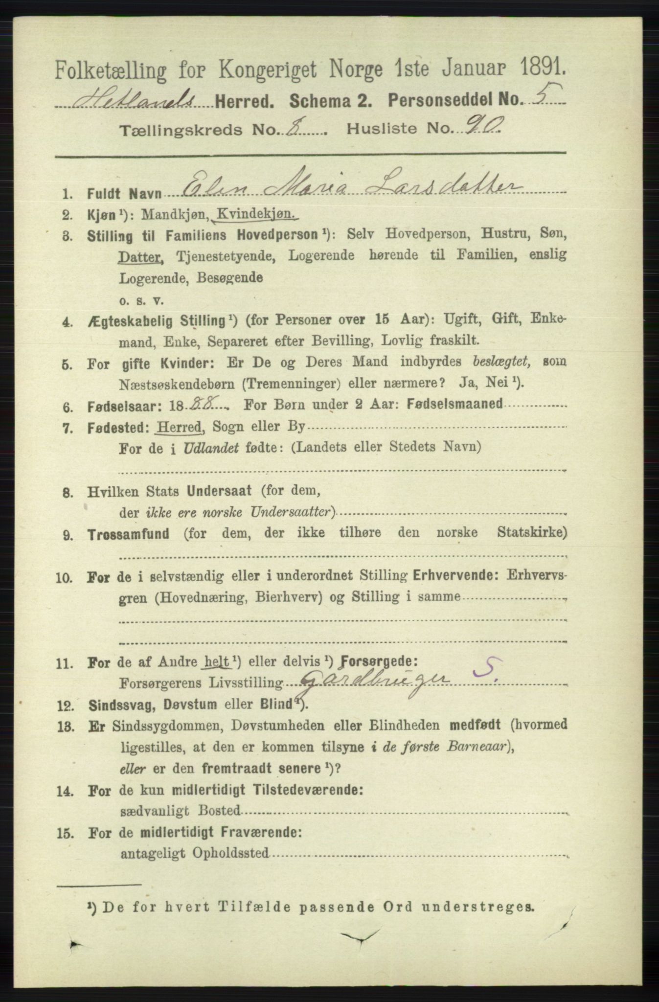 RA, 1891 census for 1126 Hetland, 1891, p. 4993