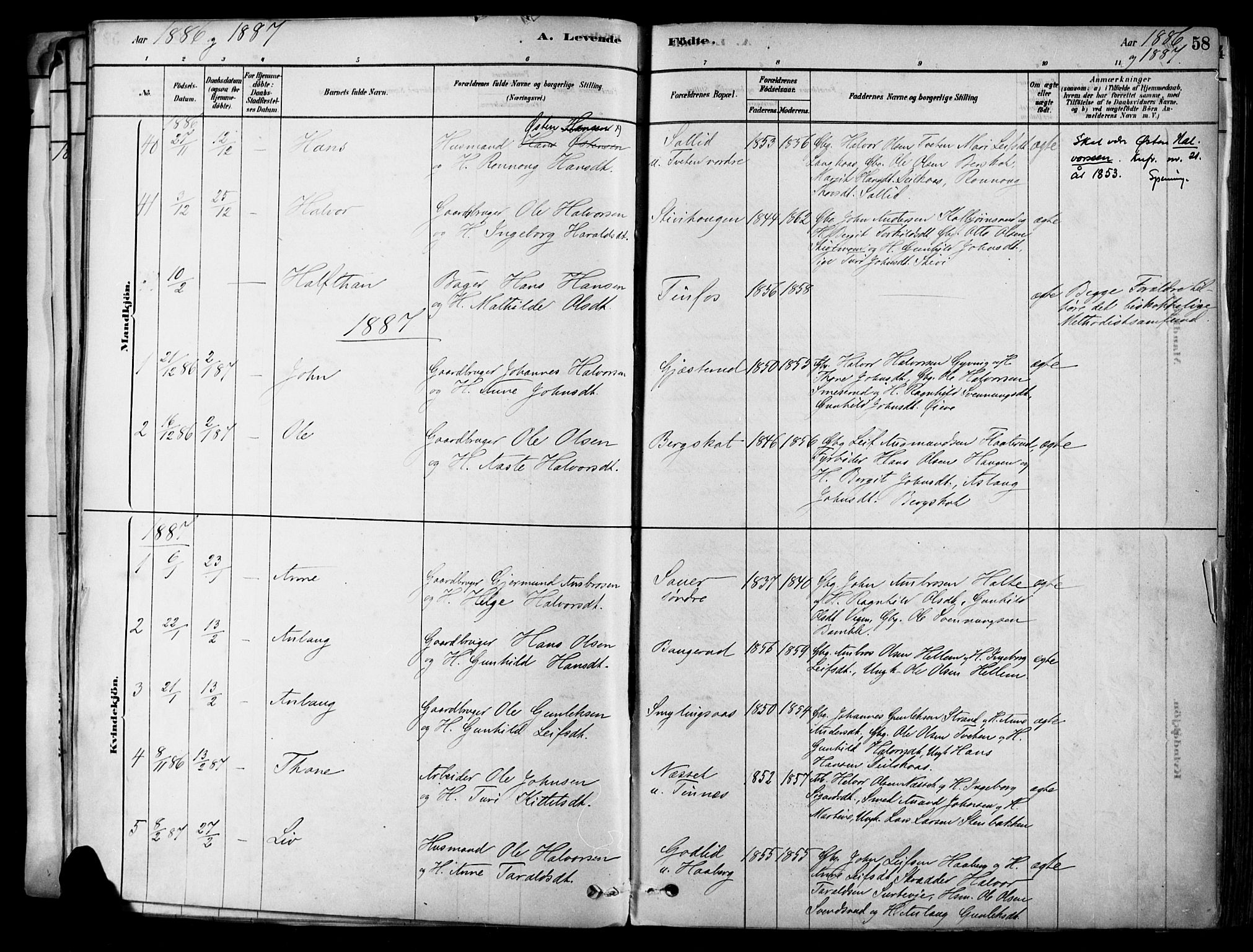 Heddal kirkebøker, SAKO/A-268/F/Fa/L0008: Parish register (official) no. I 8, 1878-1903, p. 58