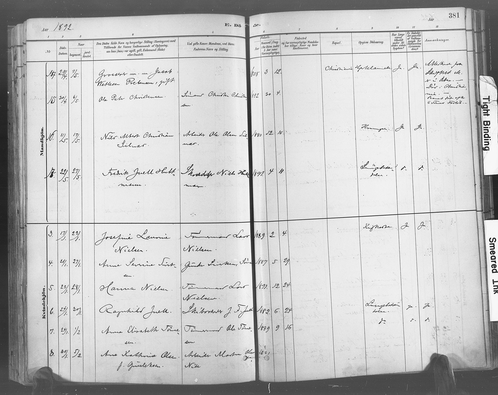 Risør sokneprestkontor, AV/SAK-1111-0035/F/Fa/L0005: Parish register (official) no. A 5, 1883-1895, p. 381