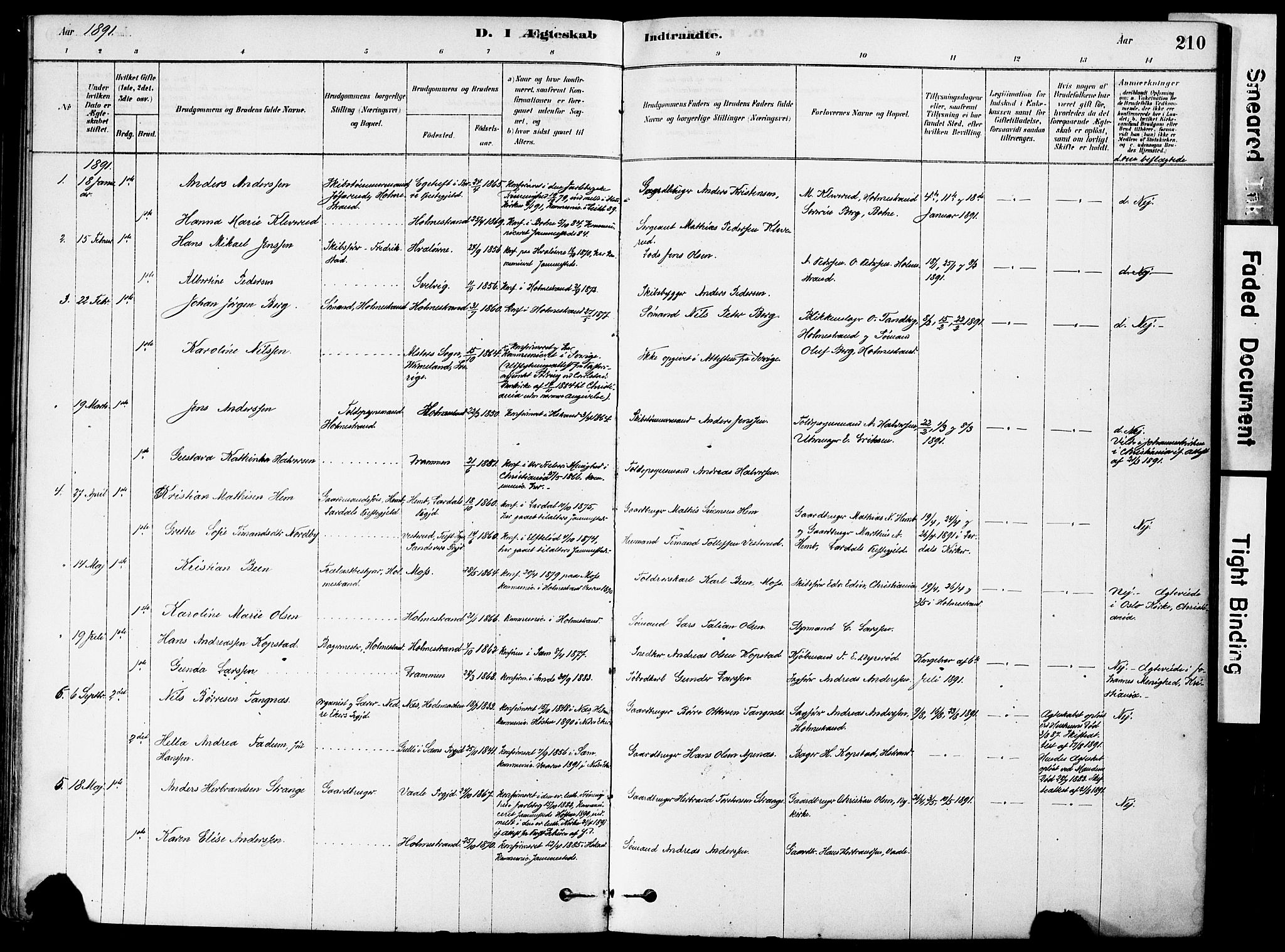 Holmestrand kirkebøker, AV/SAKO-A-346/F/Fa/L0004: Parish register (official) no. 4, 1880-1901, p. 210
