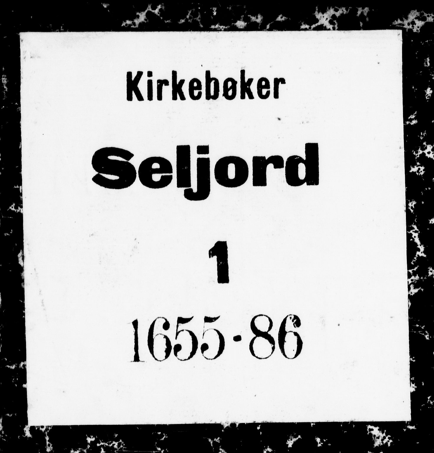 Seljord kirkebøker, SAKO/A-20/F/Fa/L0001: Parish register (official) no. I 1, 1654-1686