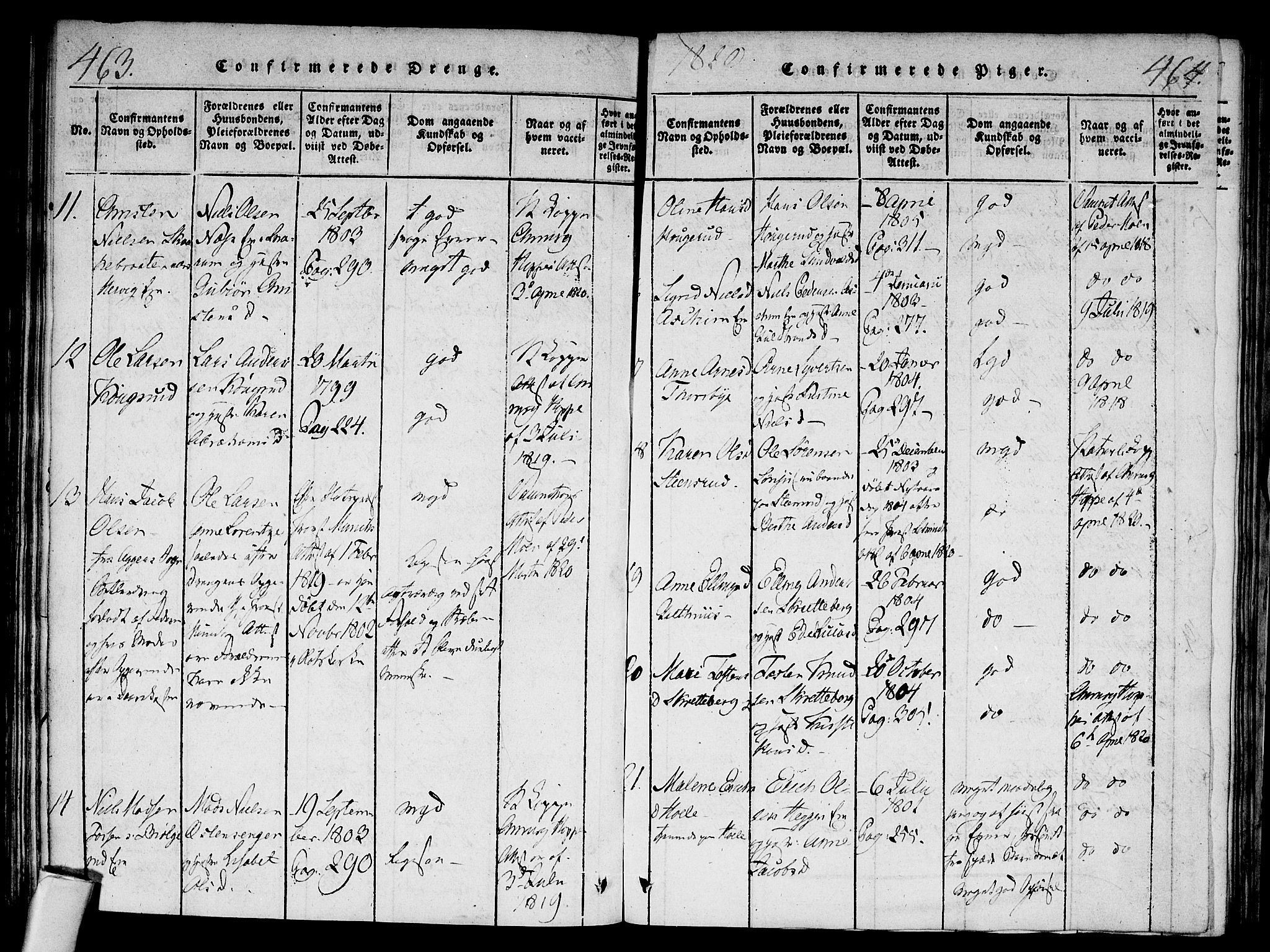 Modum kirkebøker, AV/SAKO-A-234/F/Fa/L0004: Parish register (official) no. 4, 1818-1824, p. 463-464