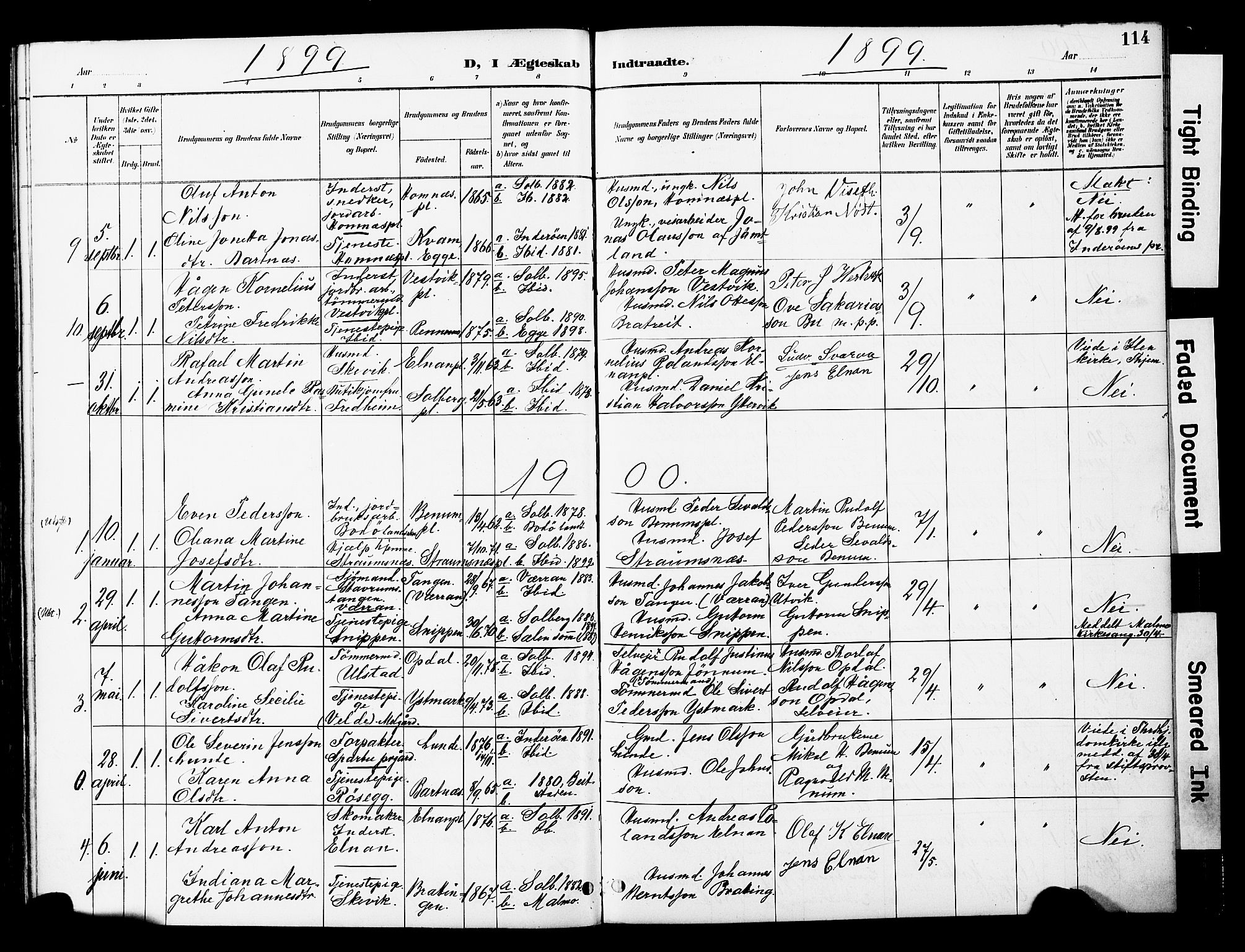 Ministerialprotokoller, klokkerbøker og fødselsregistre - Nord-Trøndelag, AV/SAT-A-1458/741/L0396: Parish register (official) no. 741A10, 1889-1901, p. 114