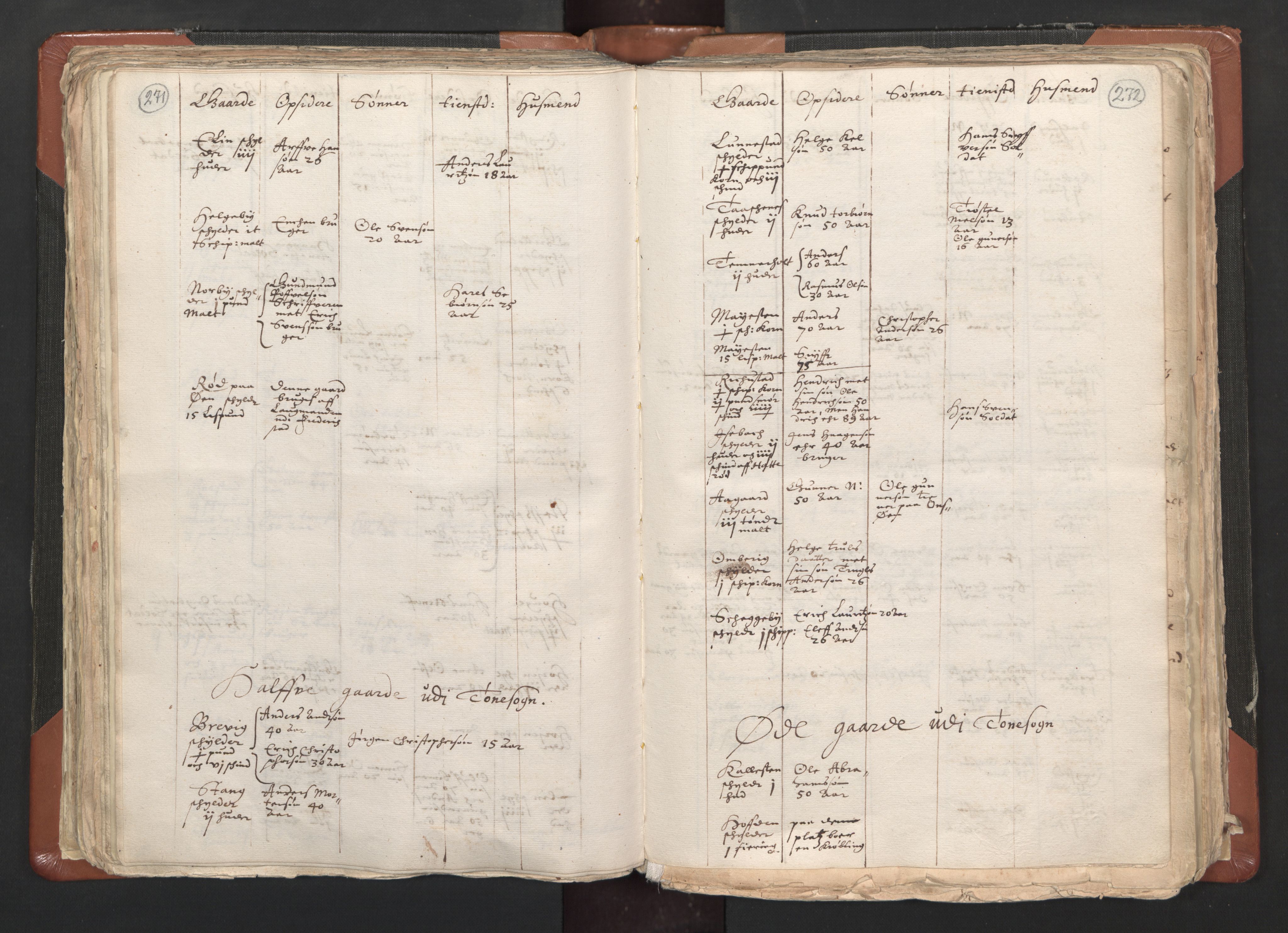 RA, Vicar's Census 1664-1666, no. 1: Nedre Borgesyssel deanery, 1664-1666, p. 271-272