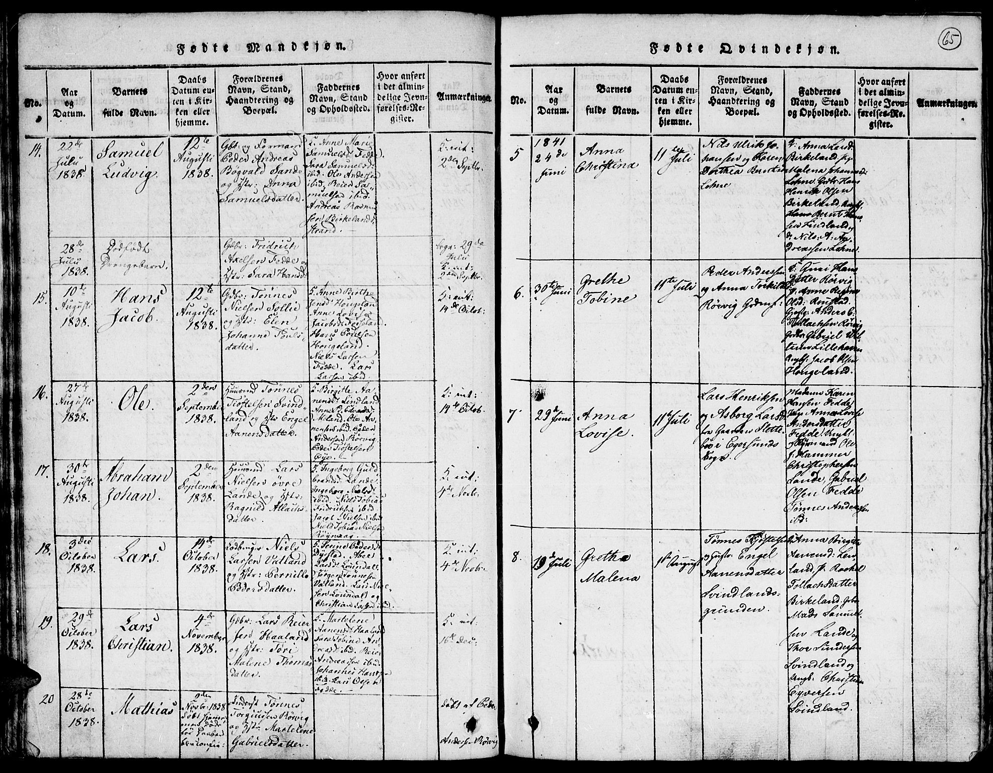 Kvinesdal sokneprestkontor, SAK/1111-0026/F/Fa/Faa/L0001: Parish register (official) no. A 1, 1815-1849, p. 65