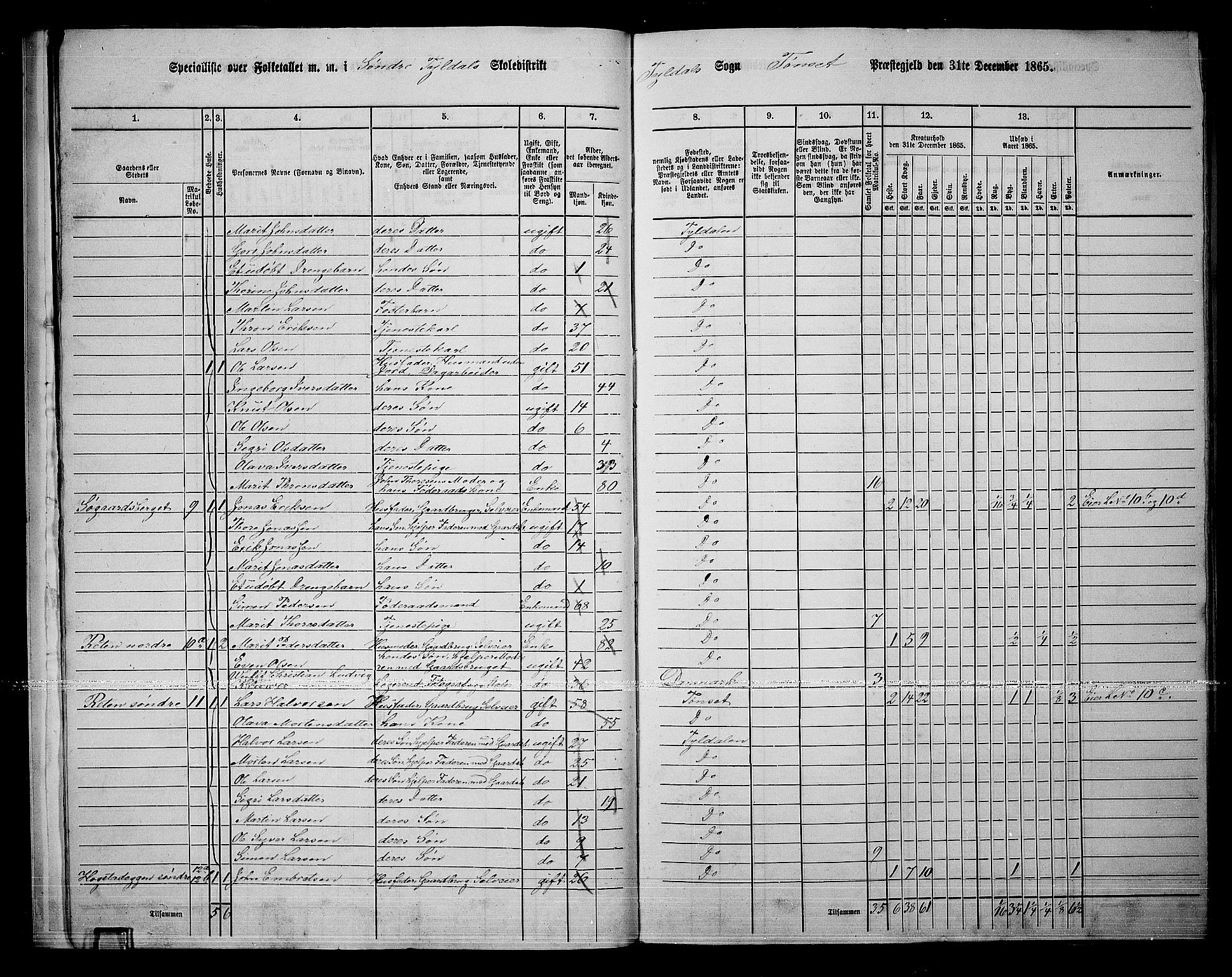 RA, 1865 census for Tynset, 1865, p. 17