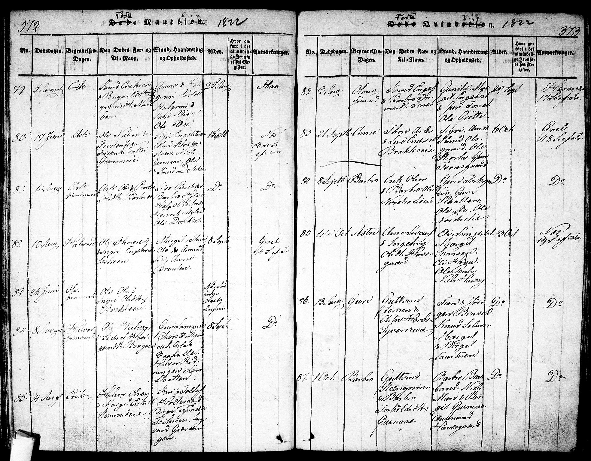 Nes kirkebøker, SAKO/A-236/F/Fa/L0007: Parish register (official) no. 7, 1815-1823, p. 372-373