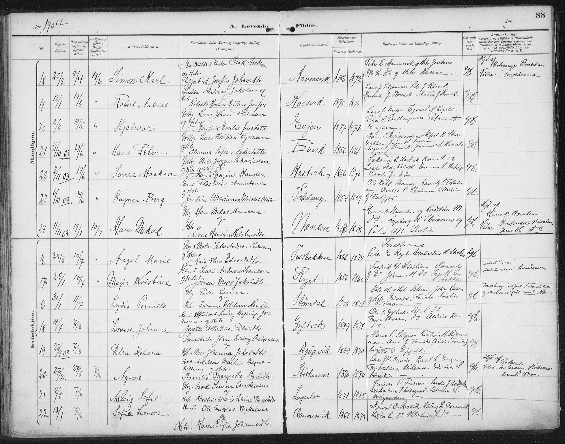 Ministerialprotokoller, klokkerbøker og fødselsregistre - Nordland, AV/SAT-A-1459/854/L0779: Parish register (official) no. 854A02, 1892-1909, p. 88