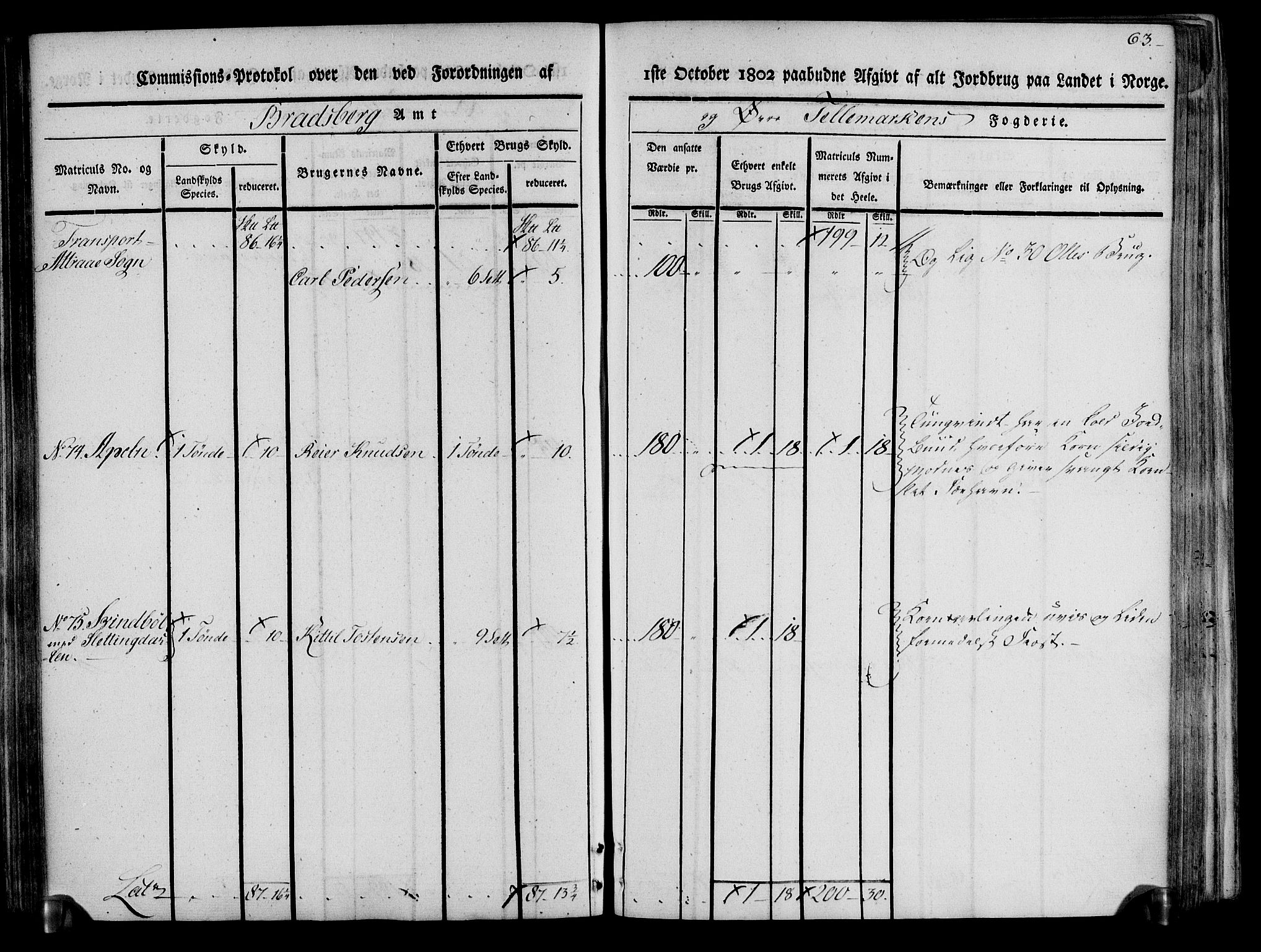 Rentekammeret inntil 1814, Realistisk ordnet avdeling, AV/RA-EA-4070/N/Ne/Nea/L0074: Øvre Telemarken fogderi. Kommisjonsprotokoll for fogderiets østre del - Tinn, Hjartdal og Seljord prestegjeld., 1803, p. 63