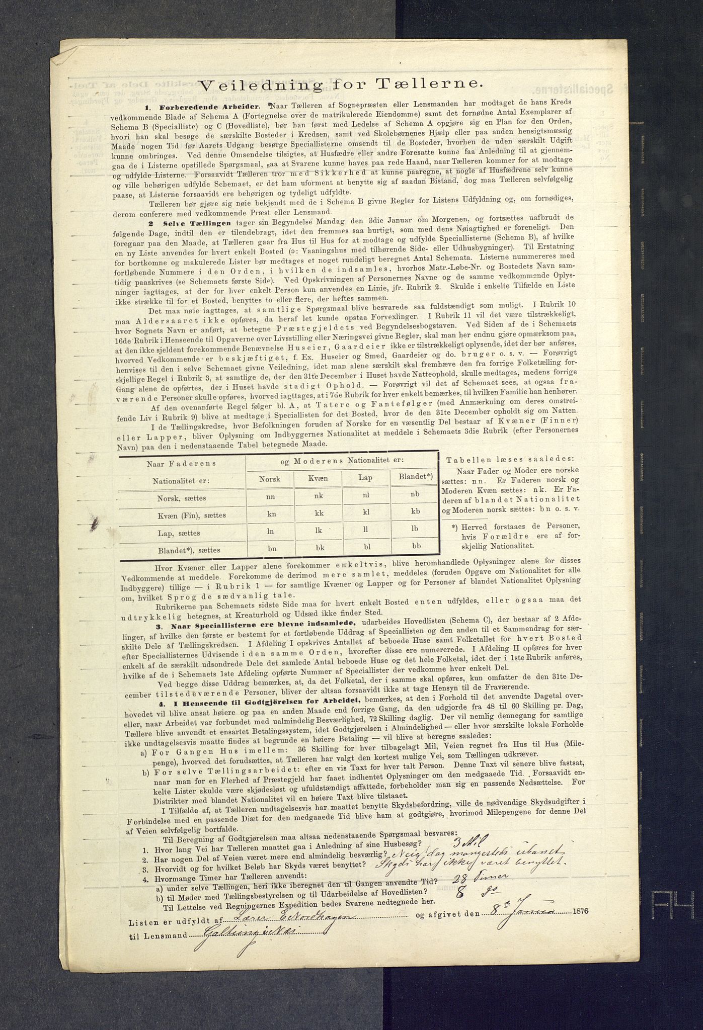 SAKO, 1875 census for 0616P Nes, 1875, p. 41