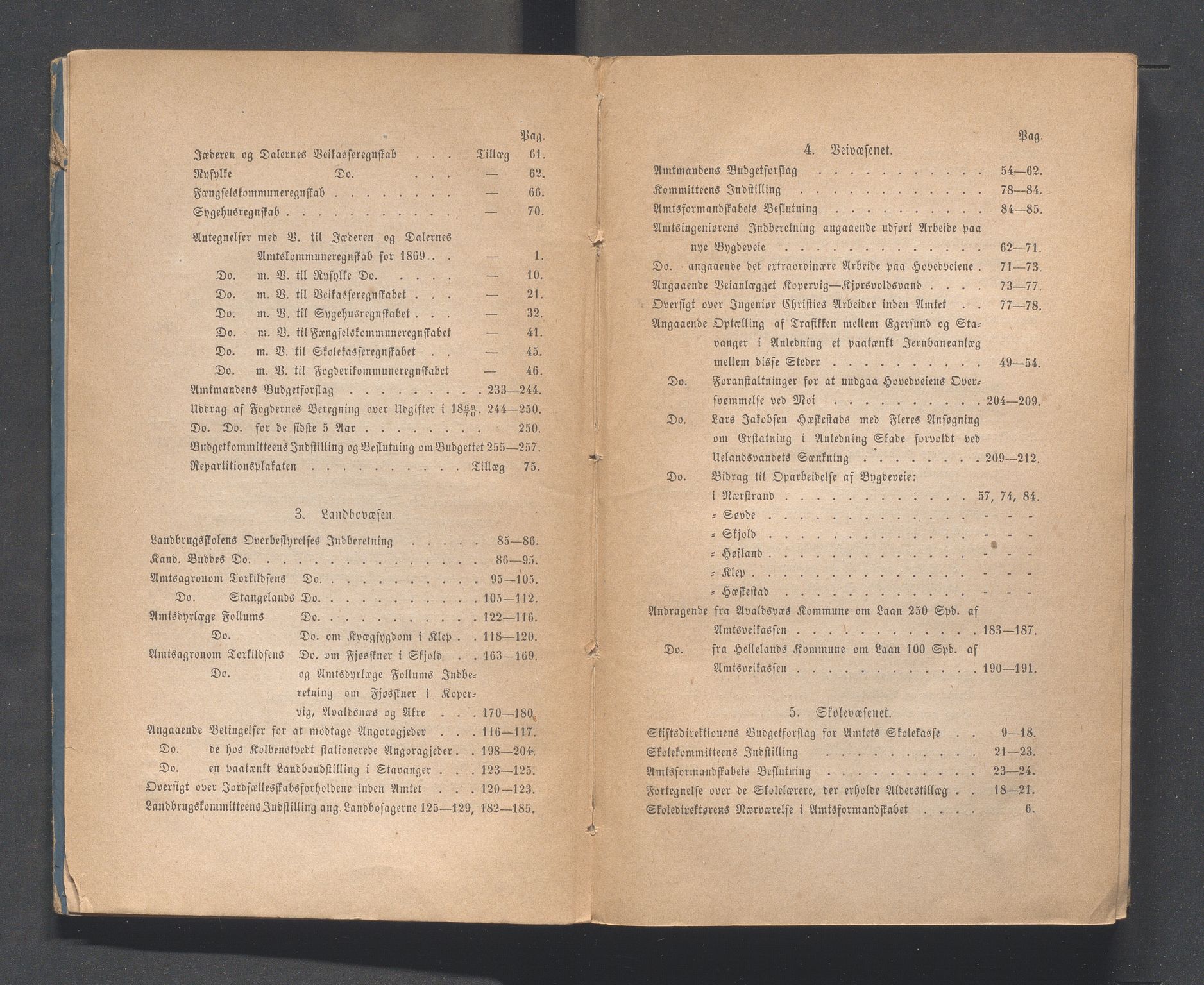 Rogaland fylkeskommune - Fylkesrådmannen , IKAR/A-900/A, 1870, p. 4