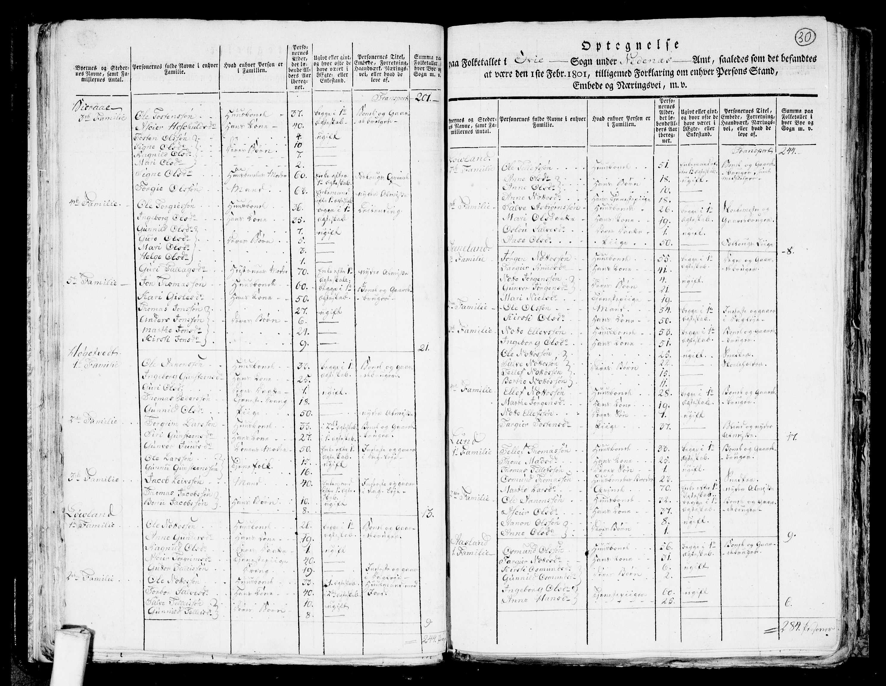 RA, 1801 census for 0934P Evje, 1801, p. 29b-30a