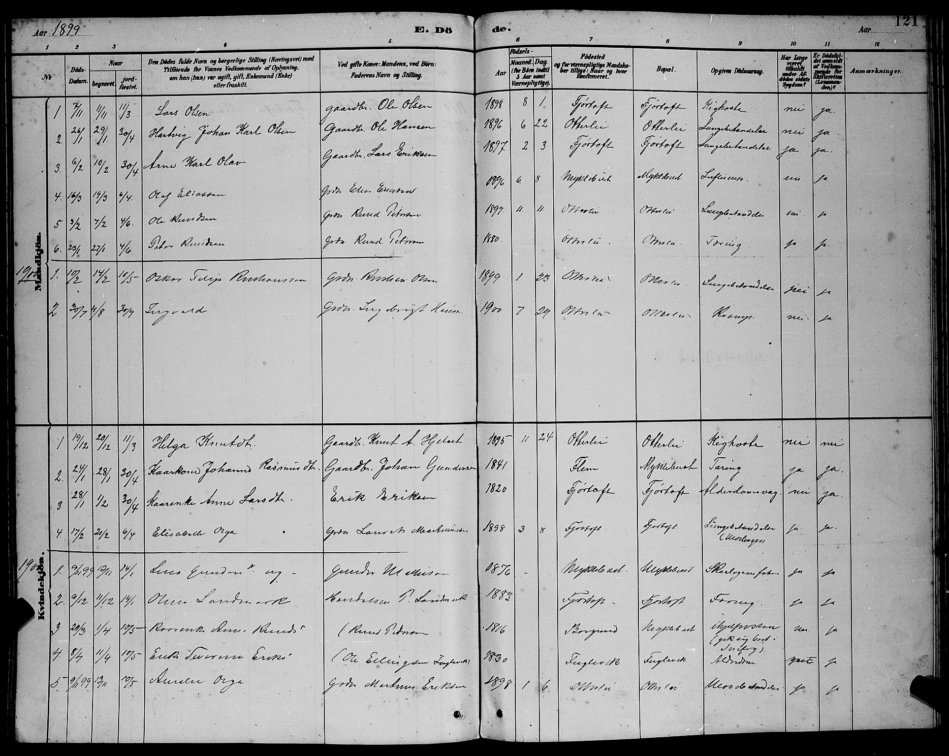 Ministerialprotokoller, klokkerbøker og fødselsregistre - Møre og Romsdal, AV/SAT-A-1454/538/L0523: Parish register (copy) no. 538C01, 1881-1900, p. 121