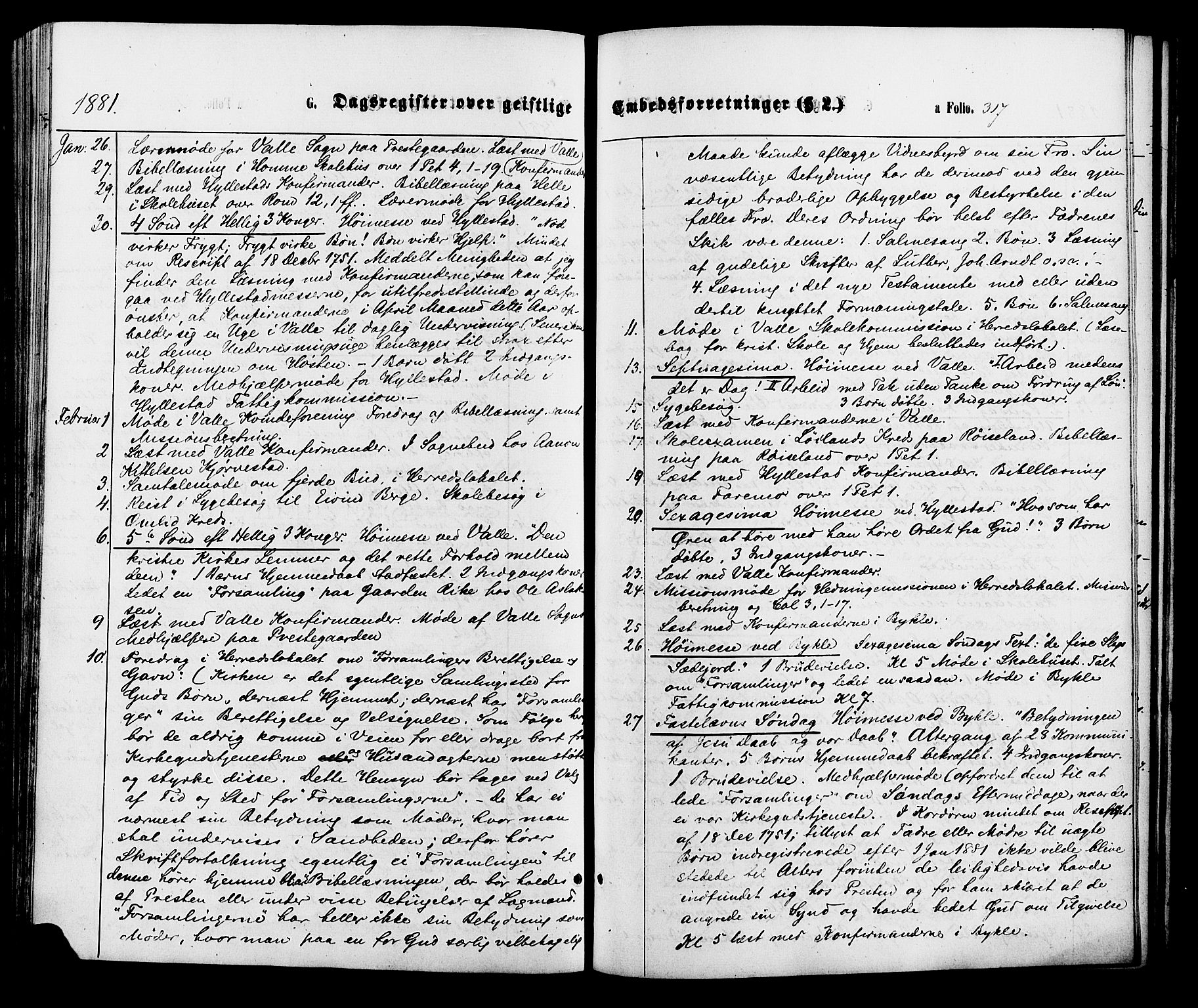 Valle sokneprestkontor, AV/SAK-1111-0044/F/Fa/Fac/L0008: Parish register (official) no. A 8, 1868-1882, p. 317