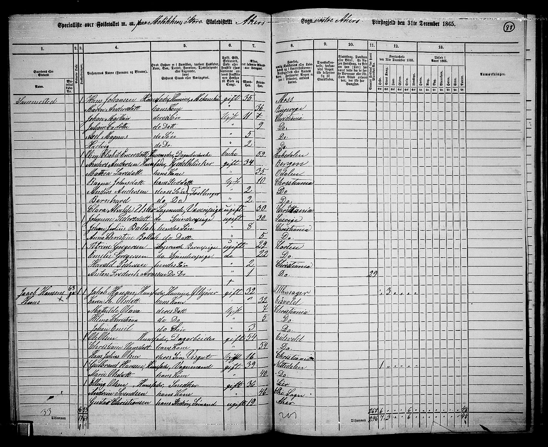 RA, 1865 census for Vestre Aker, 1865, p. 256