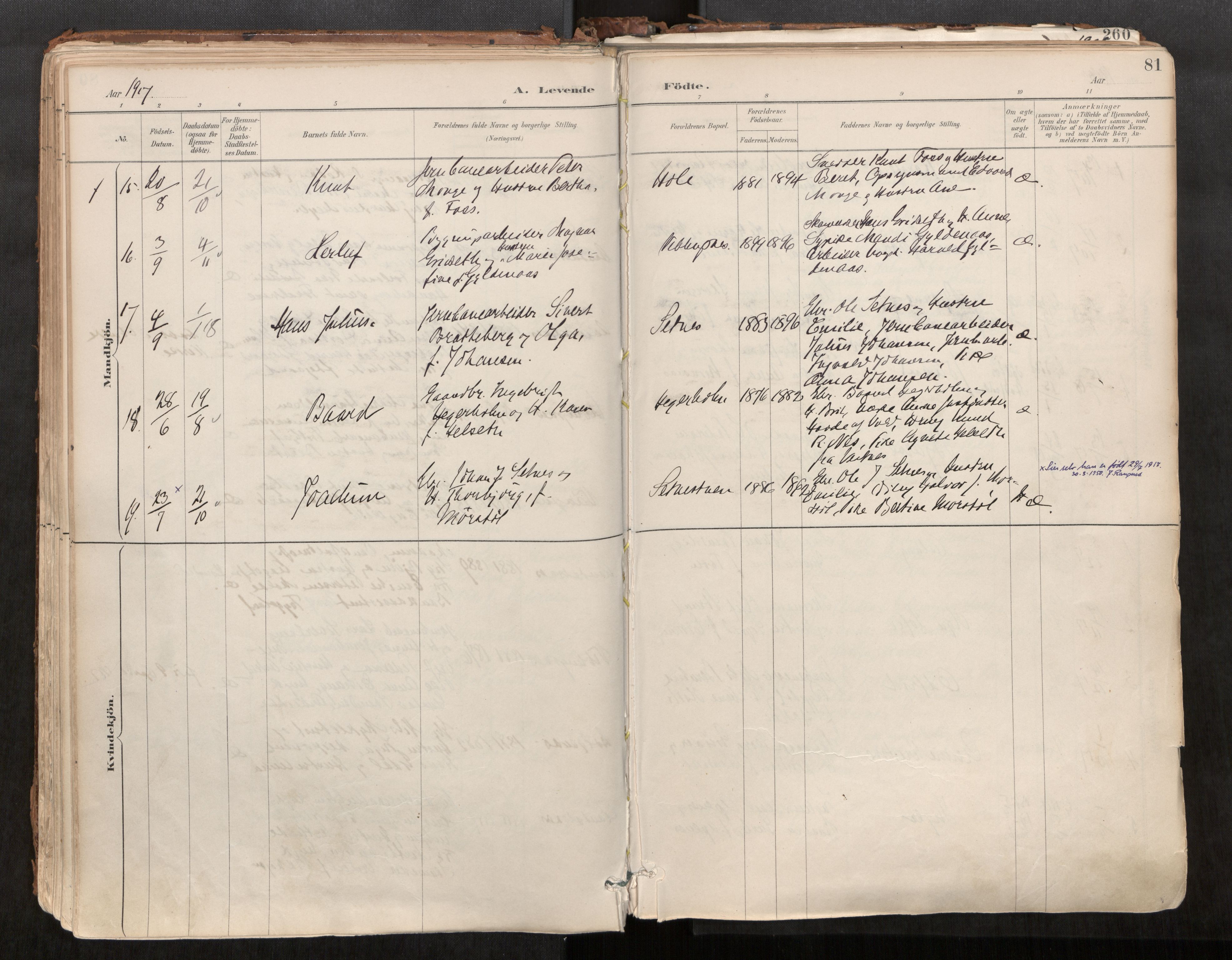 Ministerialprotokoller, klokkerbøker og fødselsregistre - Møre og Romsdal, AV/SAT-A-1454/544/L0585: Parish register (official) no. 544A06, 1887-1924, p. 81