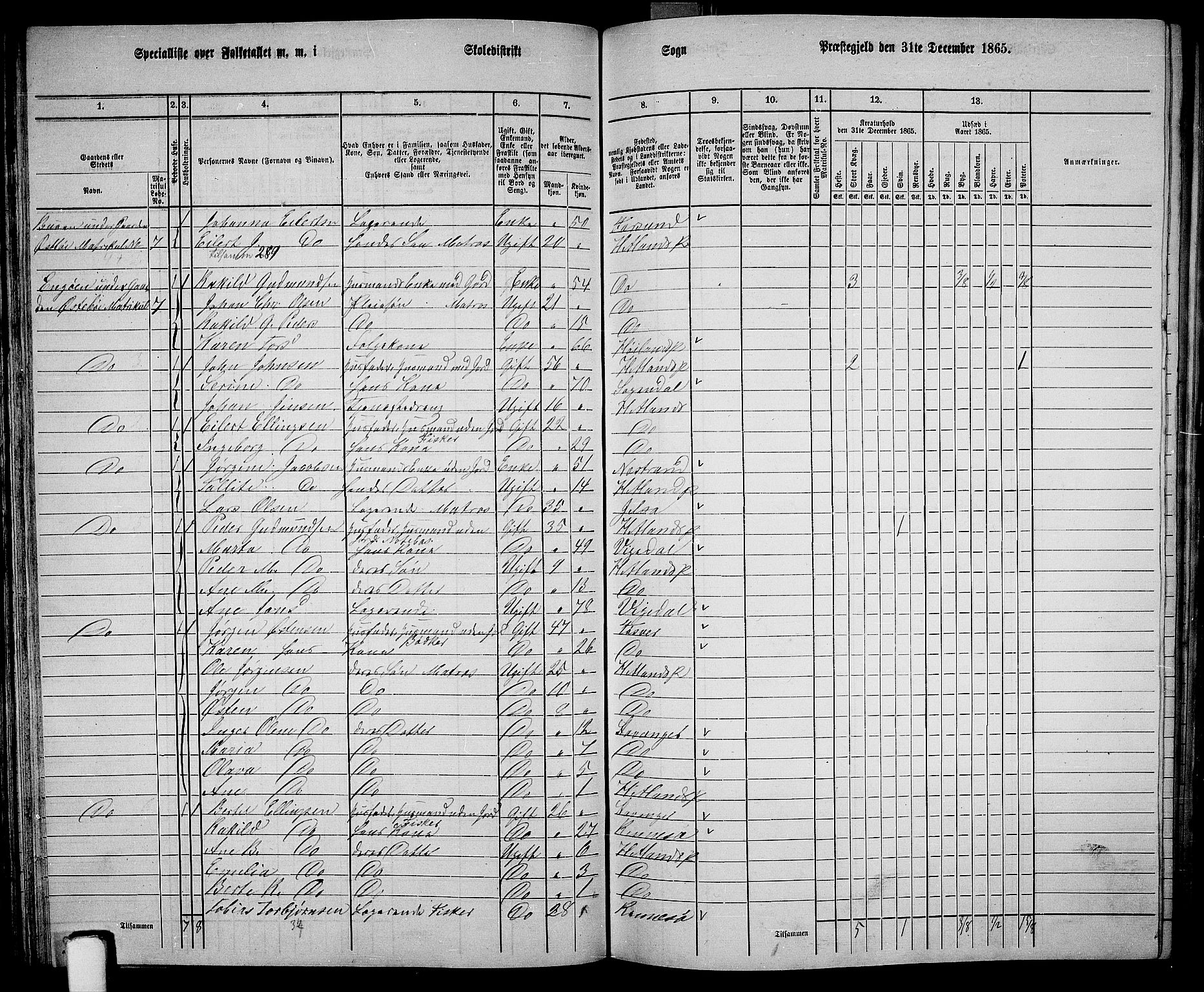 RA, 1865 census for Hetland, 1865, p. 60