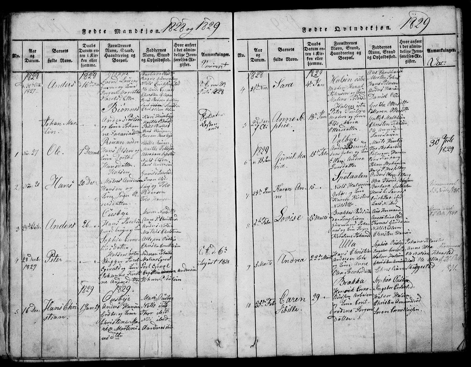 Tjølling kirkebøker, SAKO/A-60/G/Ga/L0001: Parish register (copy) no. 1, 1814-1835, p. 134