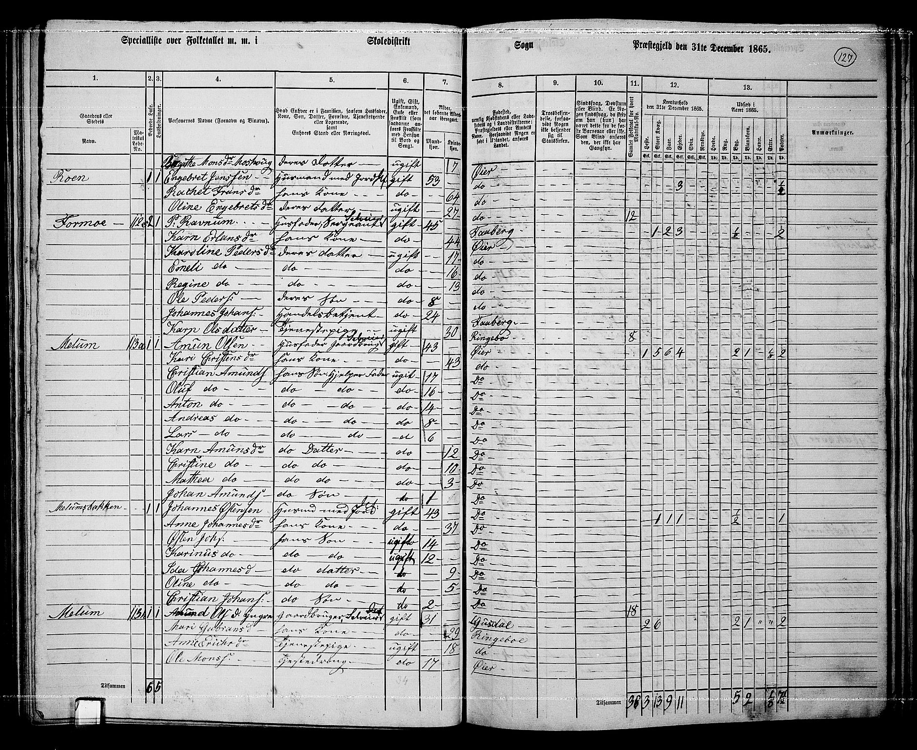 RA, 1865 census for Øyer, 1865, p. 113