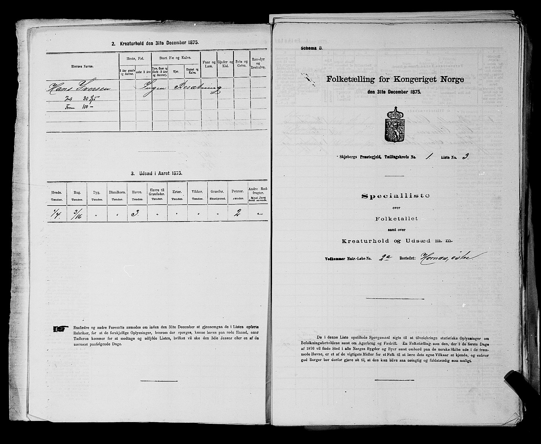 RA, 1875 census for 0115P Skjeberg, 1875, p. 33