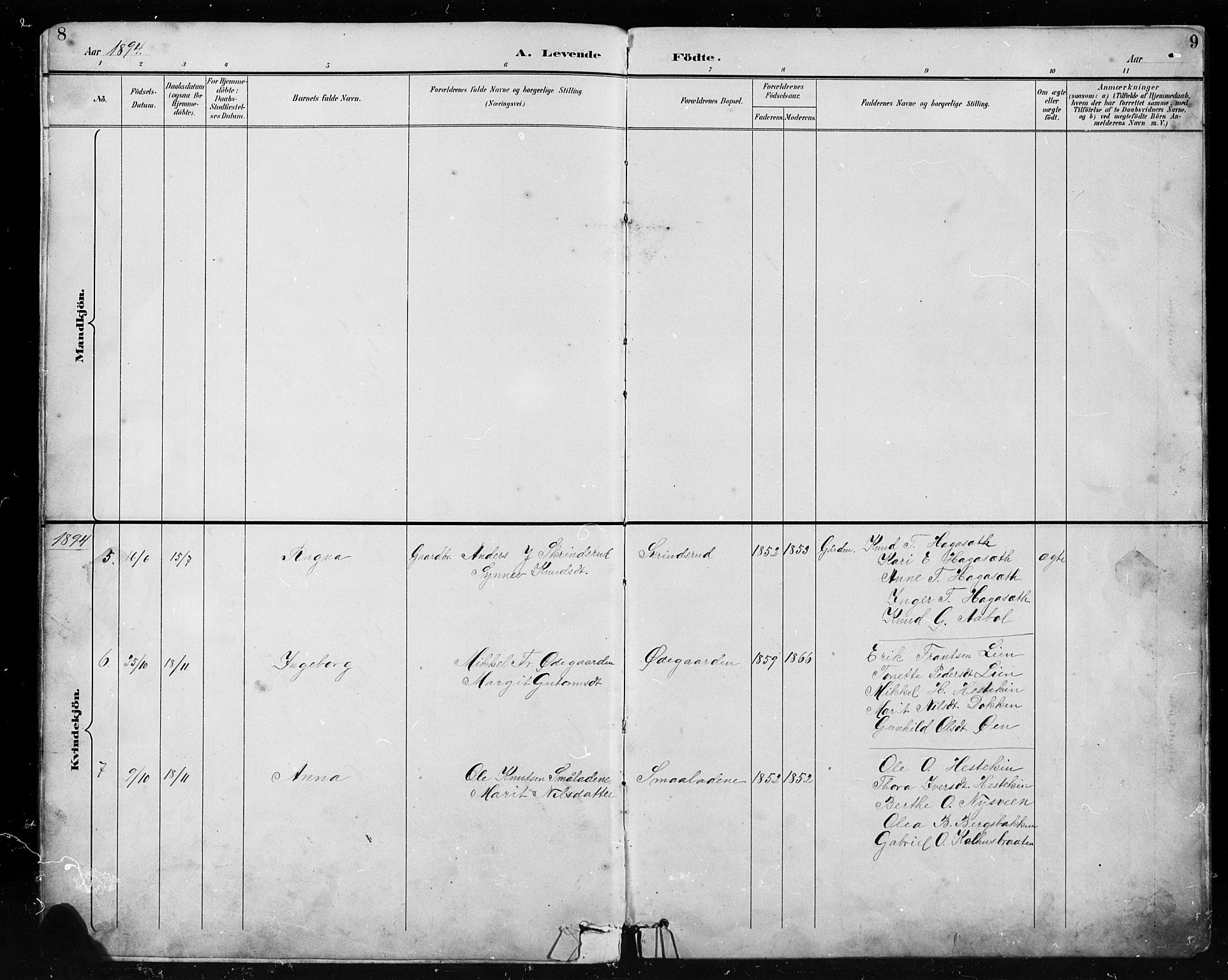 Etnedal prestekontor, SAH/PREST-130/H/Ha/Hab/Habb/L0001: Parish register (copy) no. II 1, 1894-1911, p. 8-9
