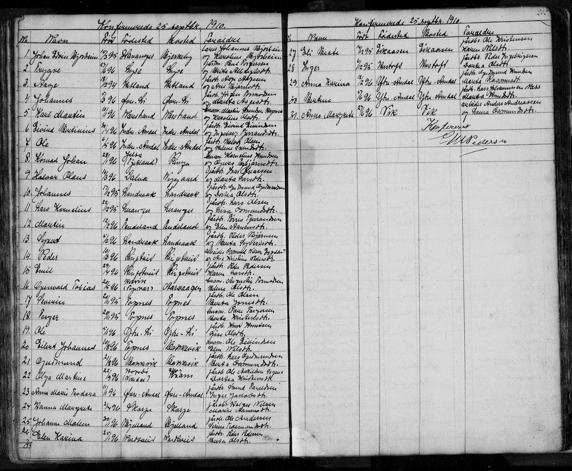 Nedstrand sokneprestkontor, SAST/A-101841/01/V: Parish register (copy) no. B 3, 1848-1933, p. 202
