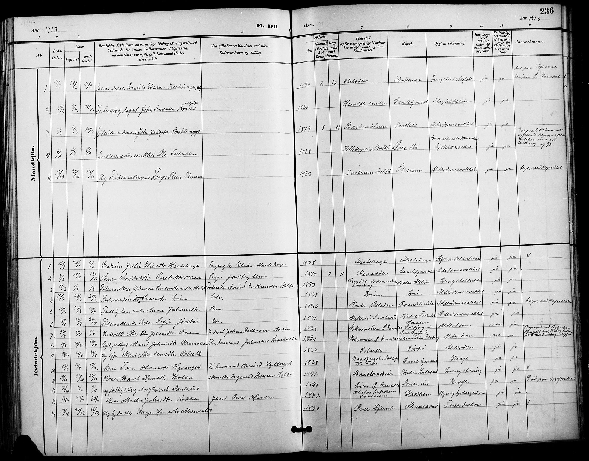 Vestre Gausdal prestekontor, SAH/PREST-094/H/Ha/Hab/L0003: Parish register (copy) no. 3, 1896-1925, p. 236