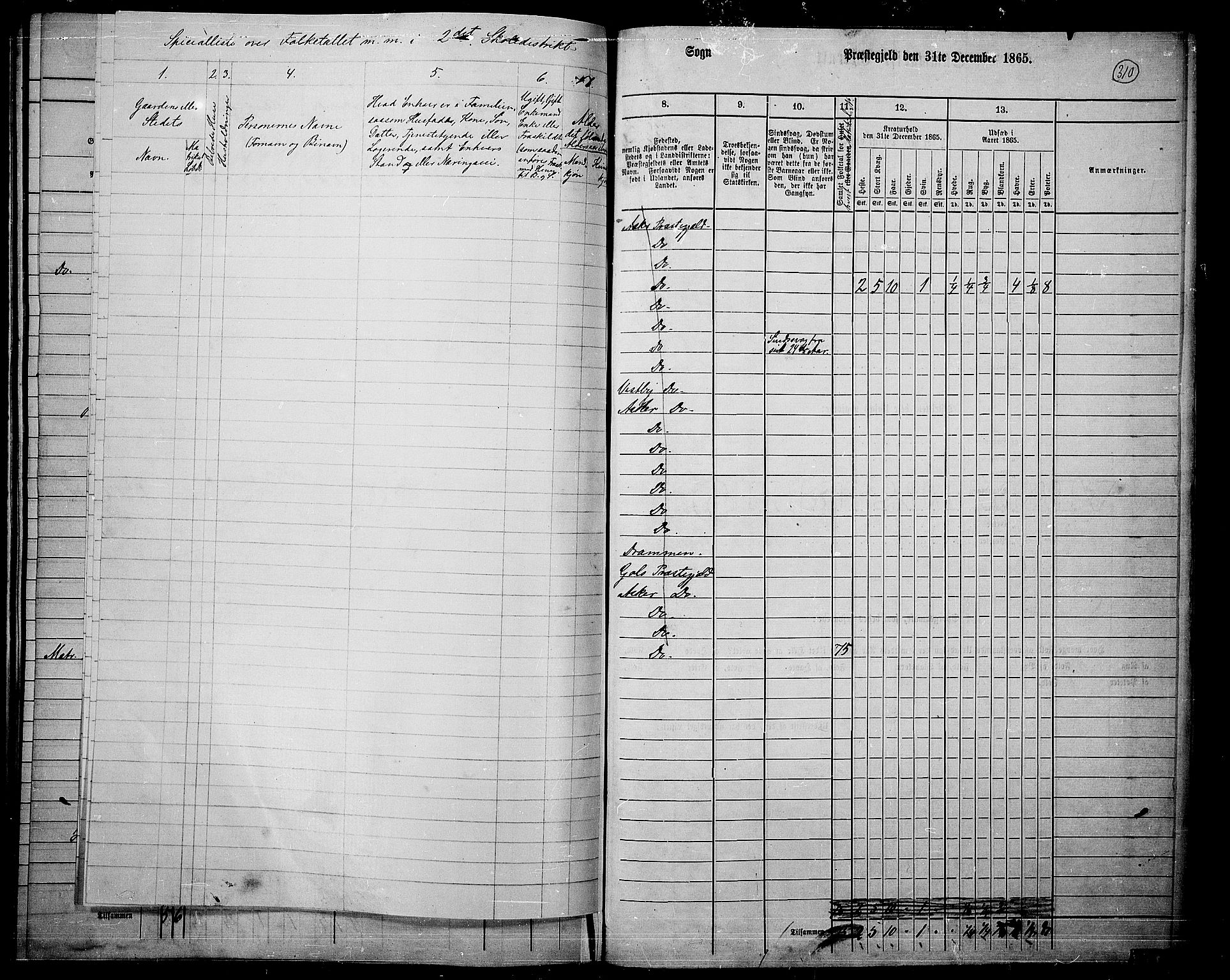 RA, 1865 census for Asker, 1865, p. 299