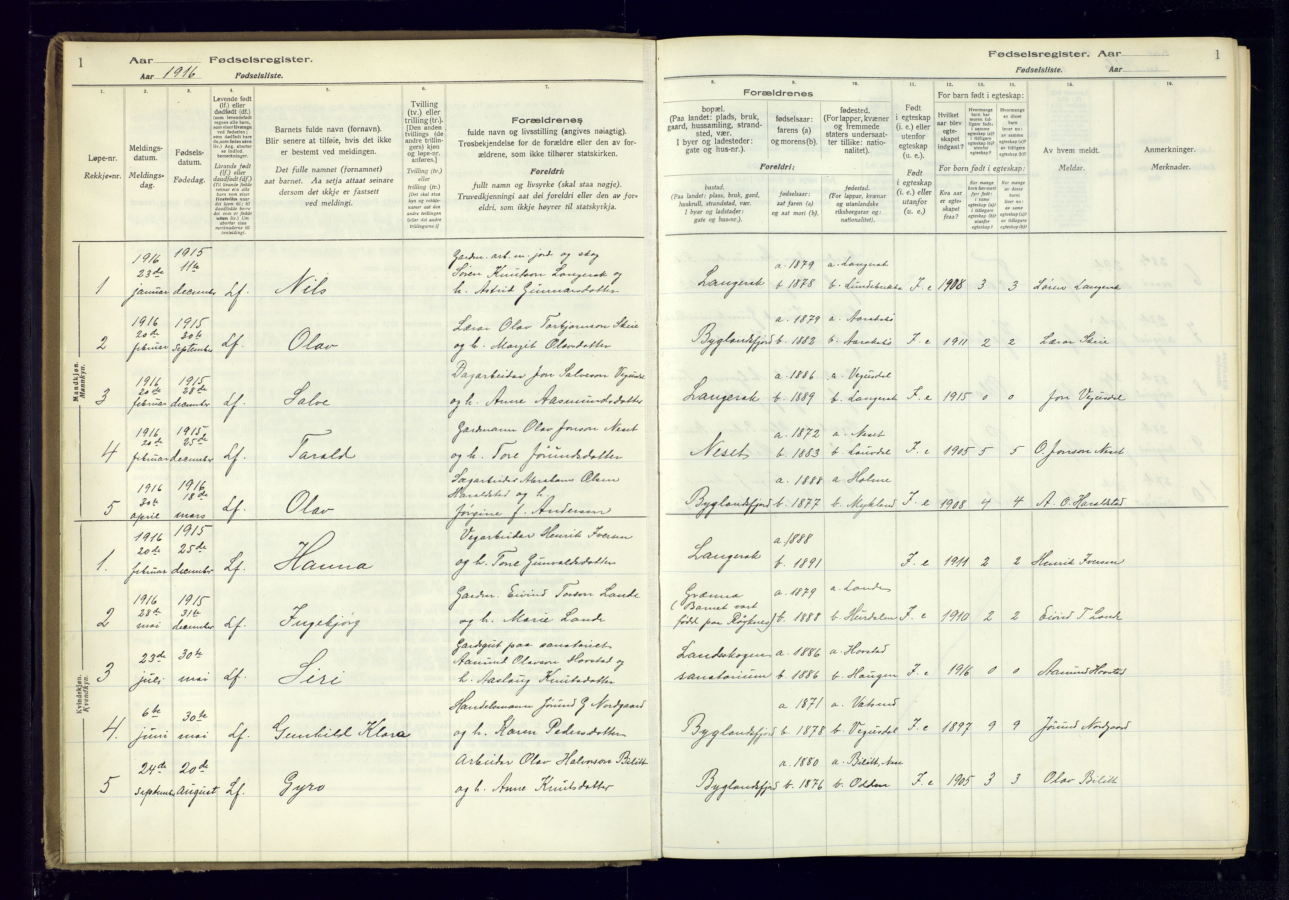 Bygland sokneprestkontor, AV/SAK-1111-0006/J/Ja/L0004: Birth register no. II.4.5, 1916-1983, p. 1
