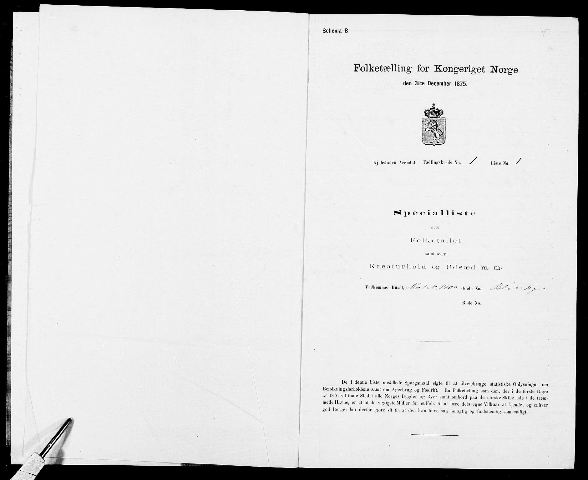 SAK, 1875 census for 0903P Arendal, 1875, p. 11